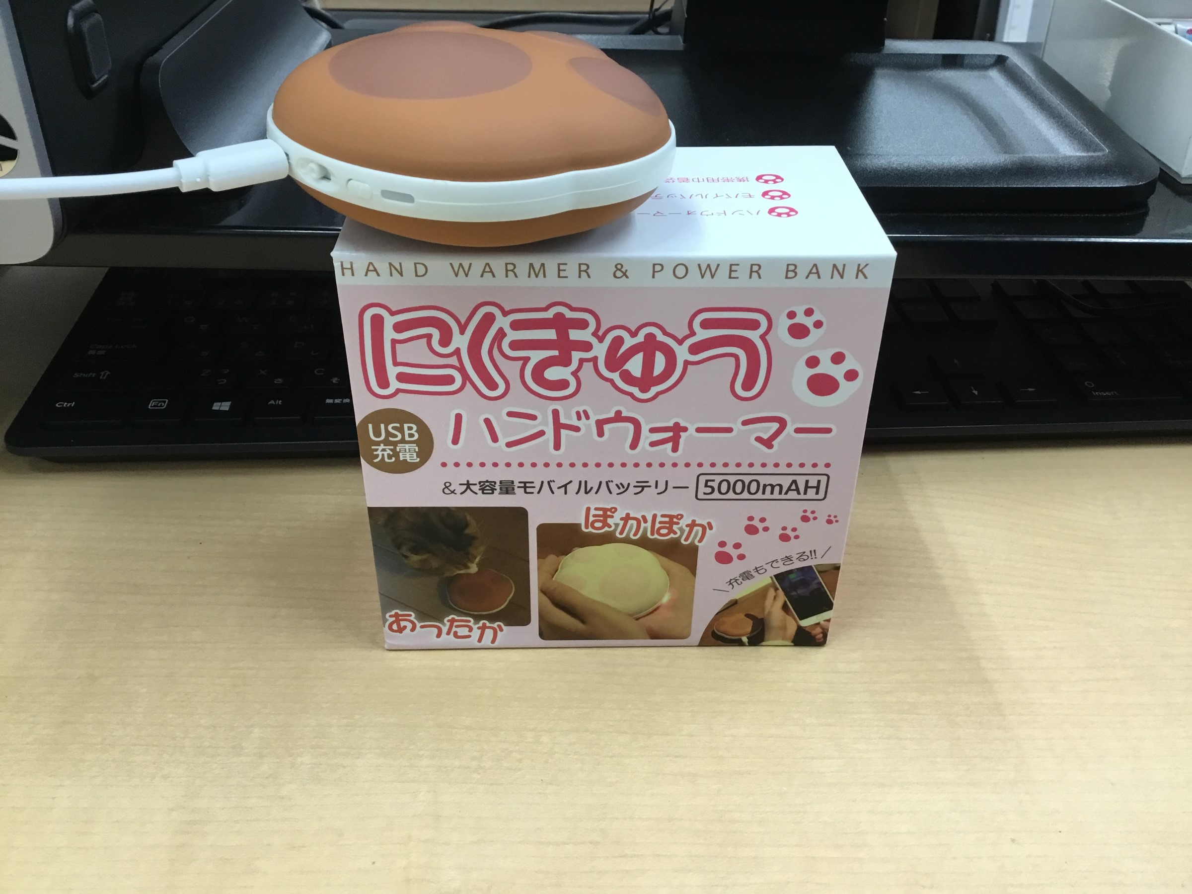 スタッフ撮影
