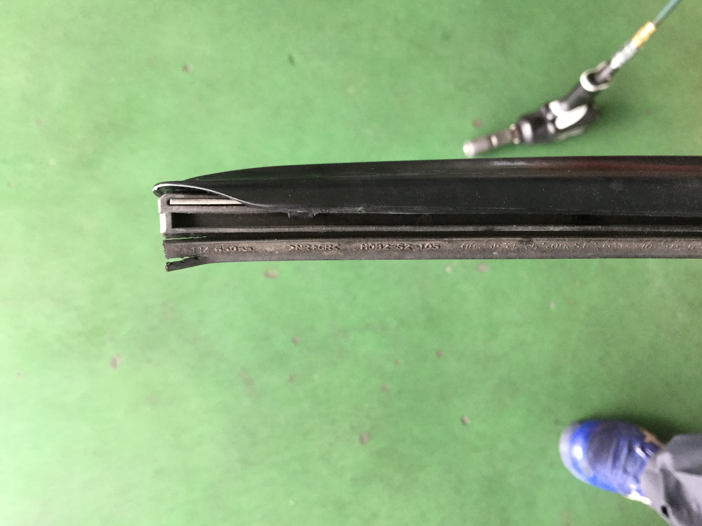 スタッフが撮影しました。