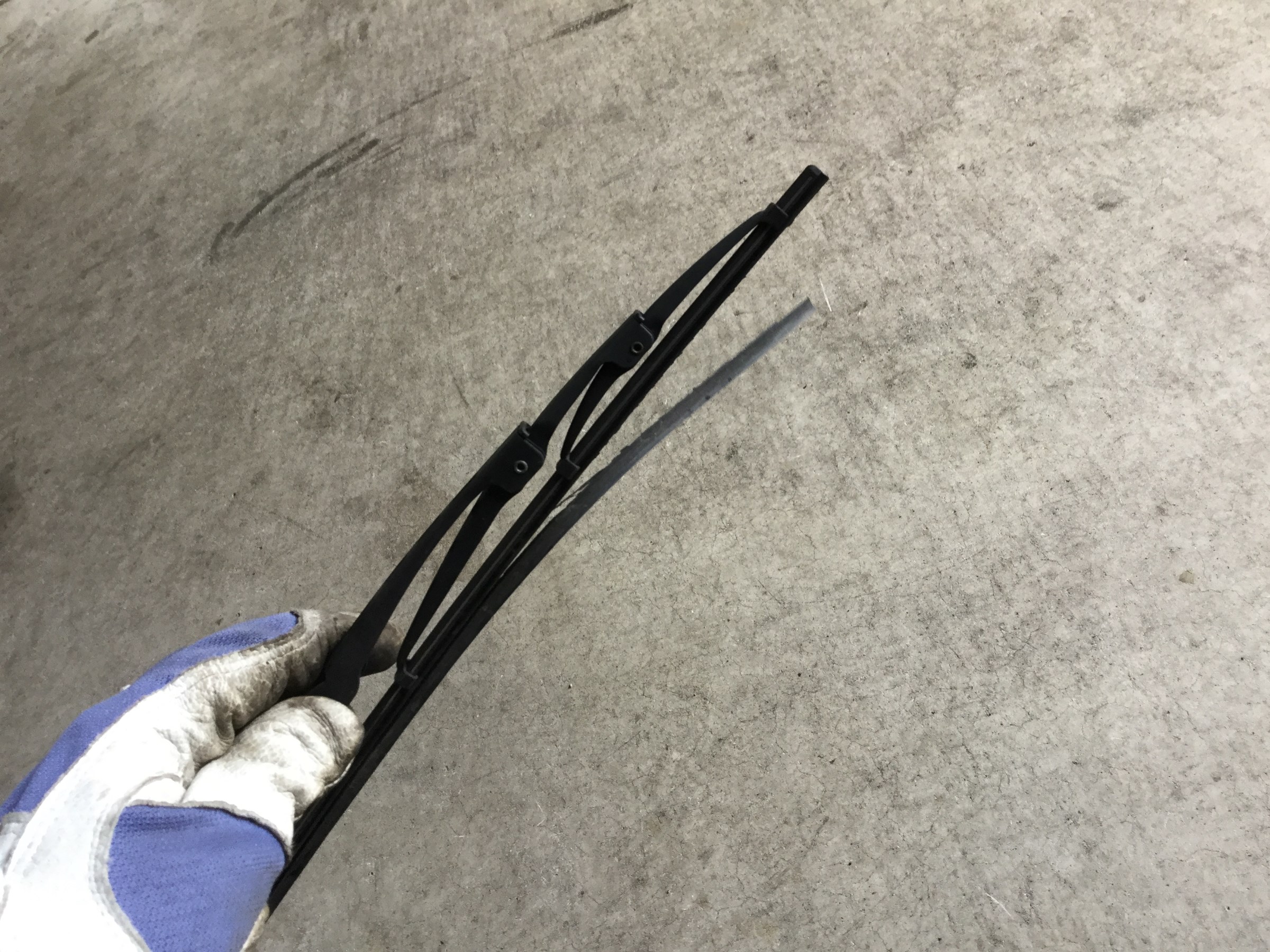 スタッフが撮影しました。