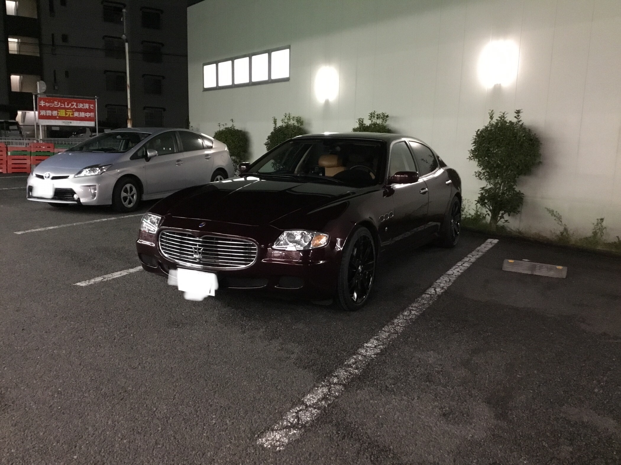 スタッフが撮影した写真です