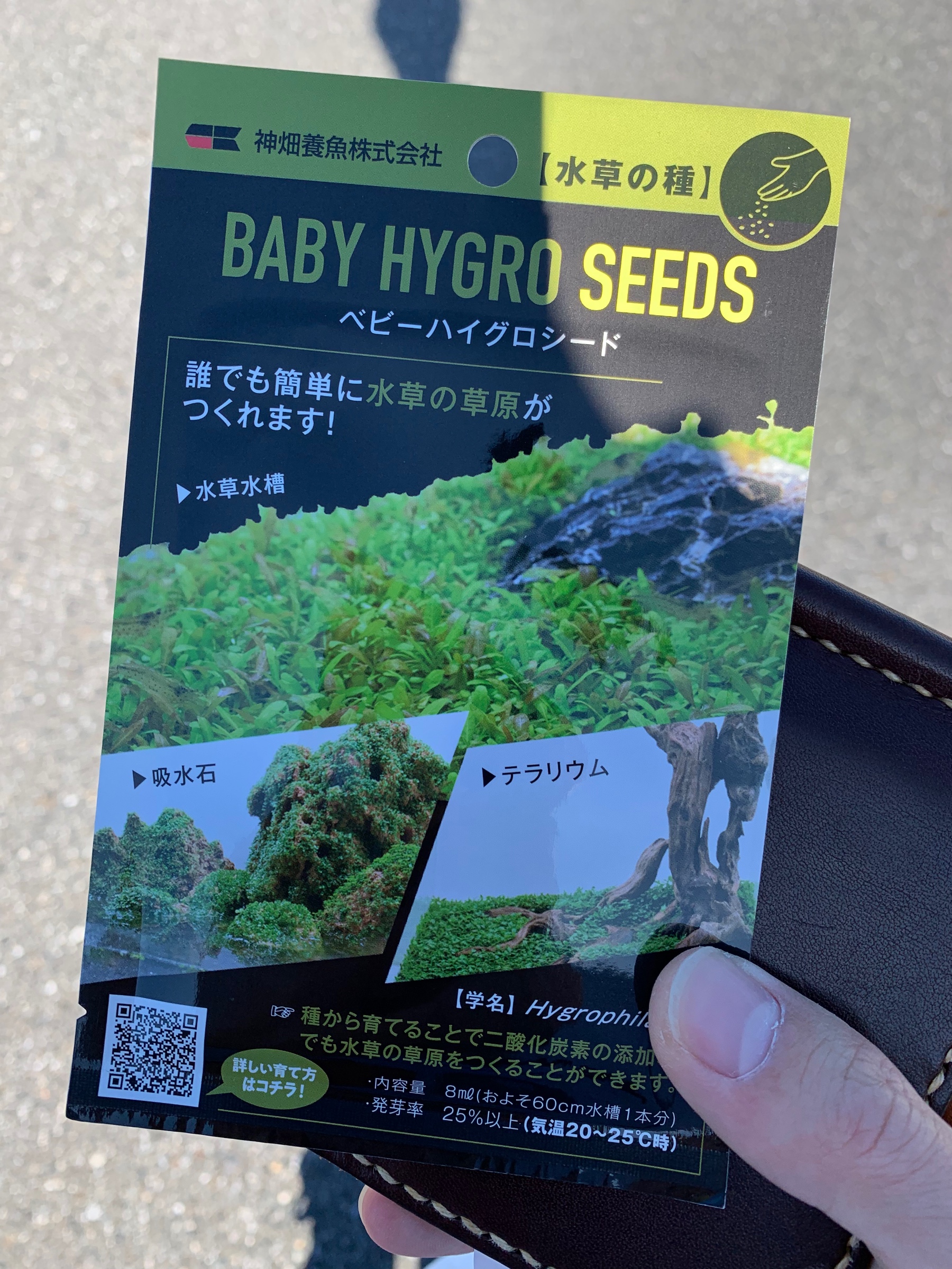 テナガエビ水槽にベビーハイグロシードを蒔いてみた スタッフ日記 タイヤ館 勝田台 千葉県のタイヤ カー用品ショップ タイヤからはじまる トータルカーメンテナンス タイヤ館グループ
