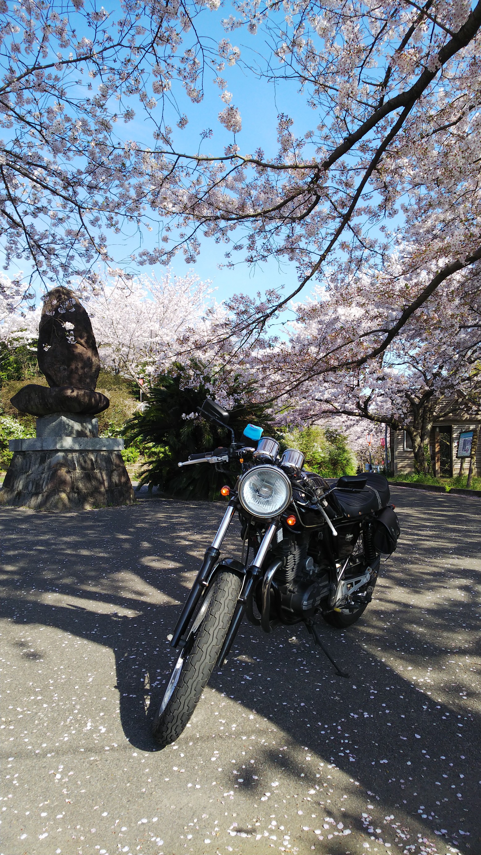 スタッフ撮影です。