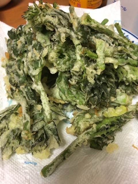 スタッフ撮影