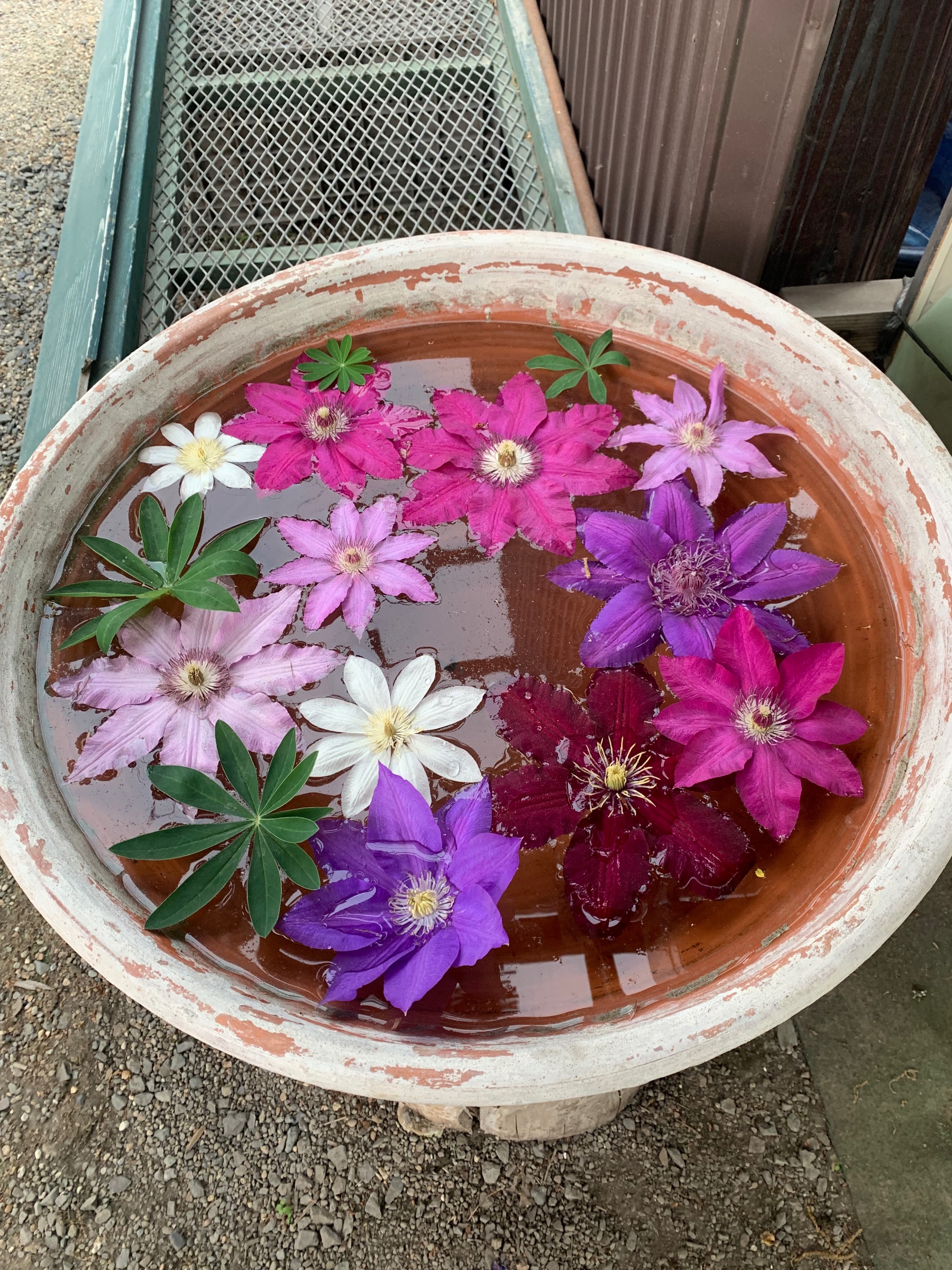 スタッフが撮影した画像です