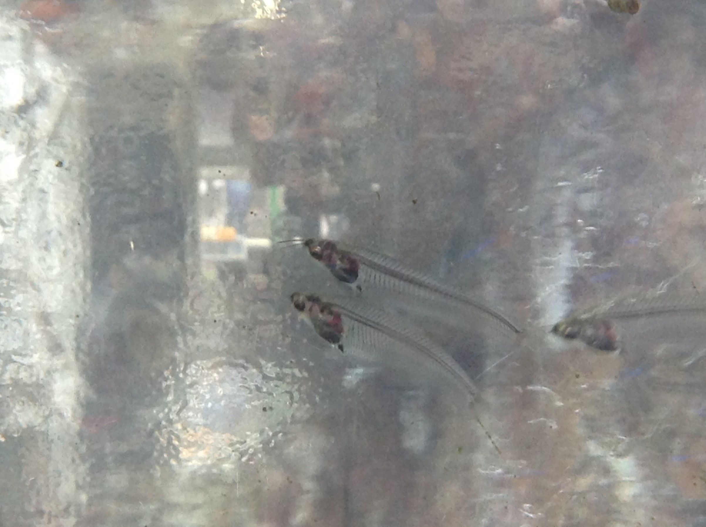 新しい仲間を探してみよう スタッフ日記 タイヤ館 成瀬 タイヤからはじまる トータルカーメンテナンス タイヤ館グループ