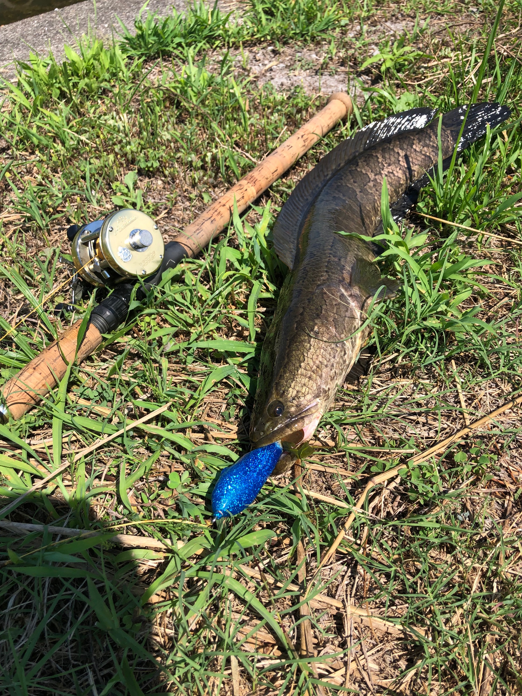 雷魚 スタッフ日記 タイヤ館 出水 タイヤからはじまる トータルカーメンテナンス タイヤ館グループ