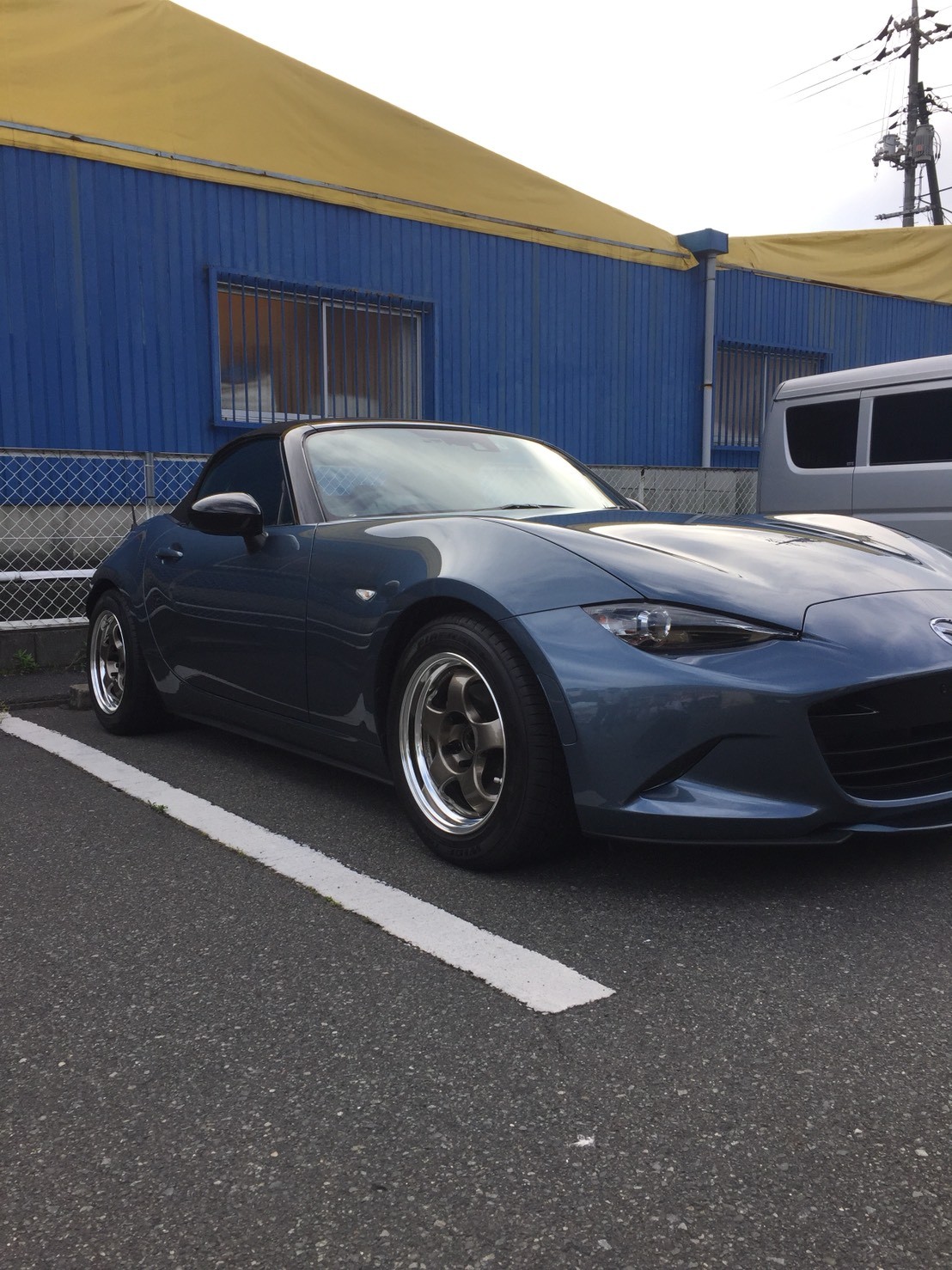 スタッフの撮影した画像です。