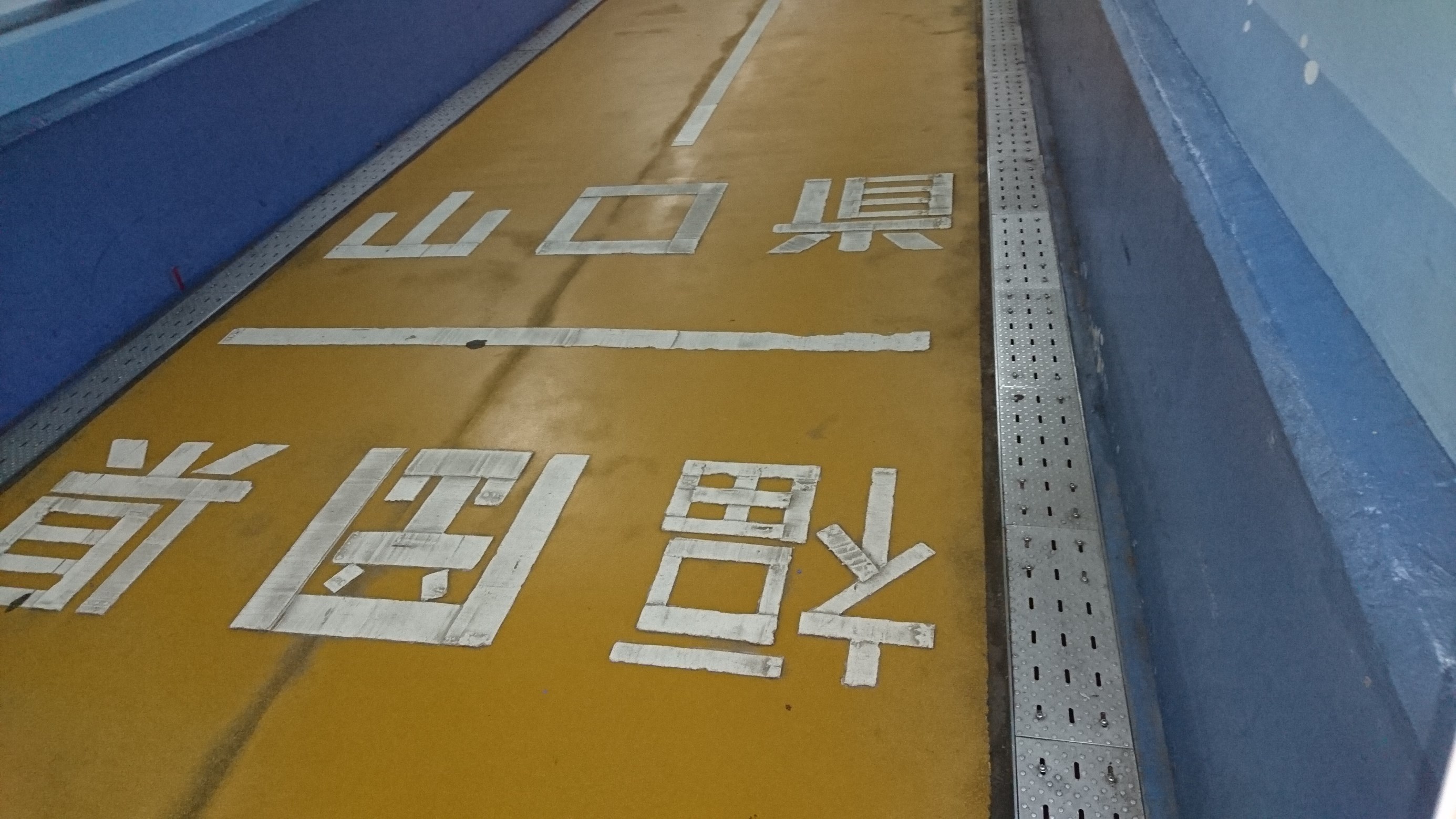 スタッフ撮影写真