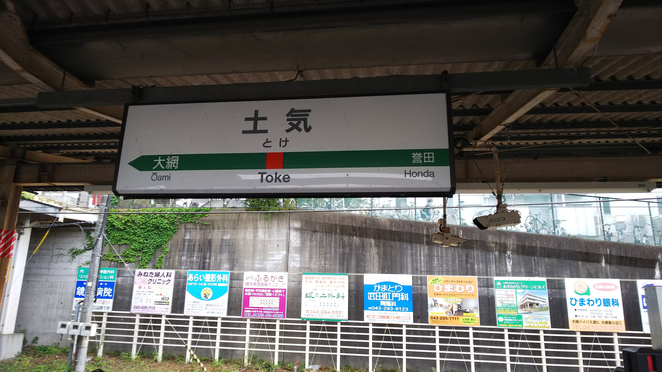 スタッフ撮影です。
