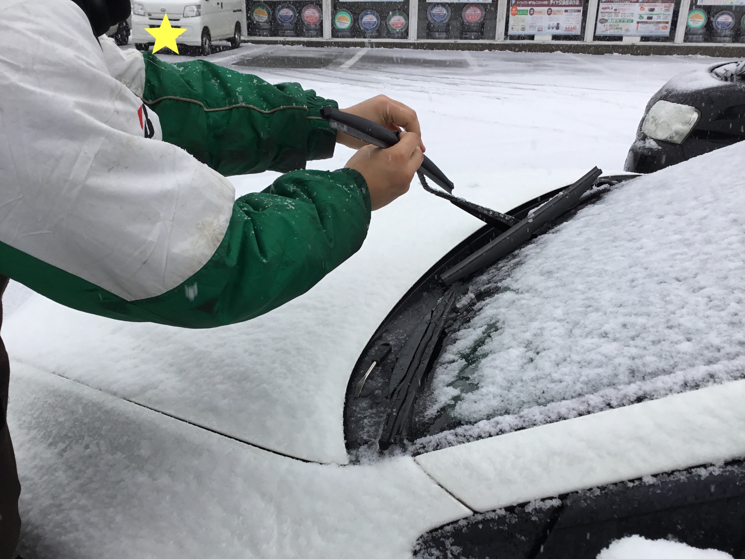 スタッフが撮影加工した画像です