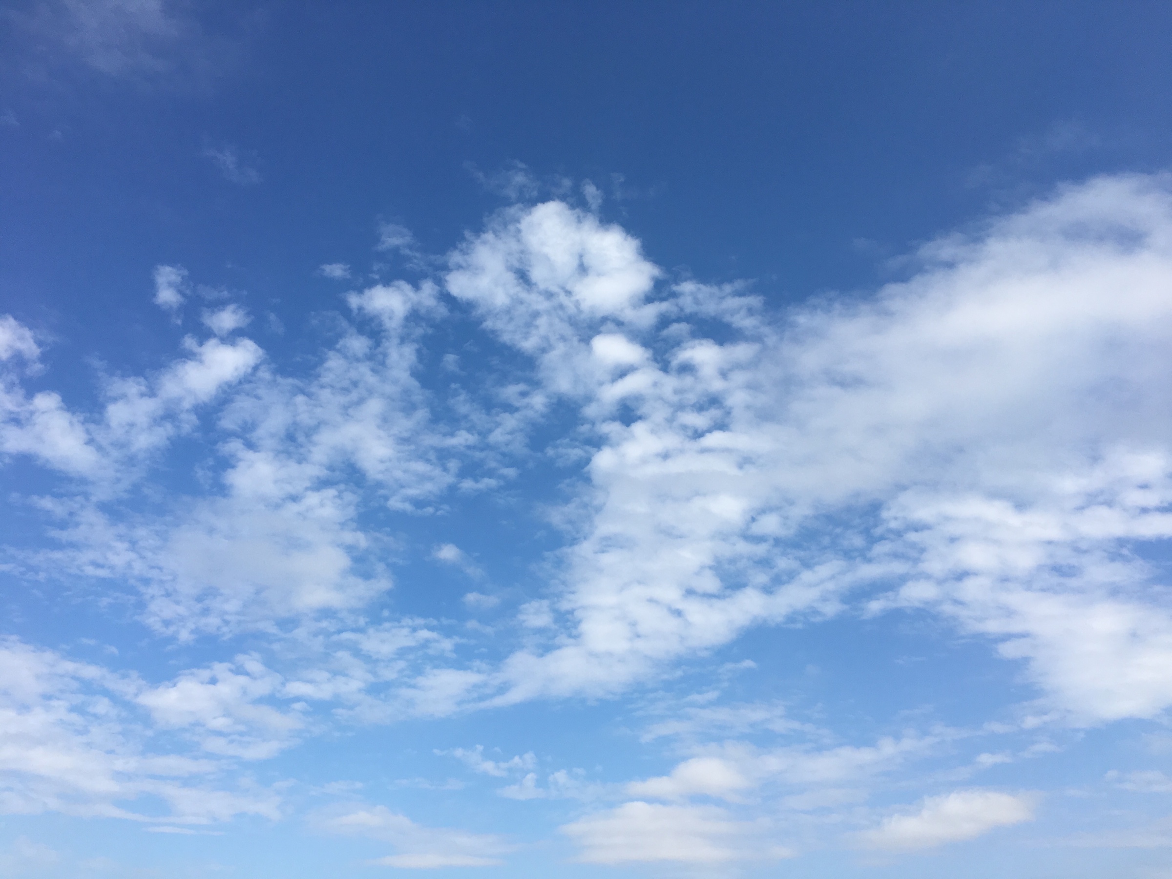 スタッフが撮影しました