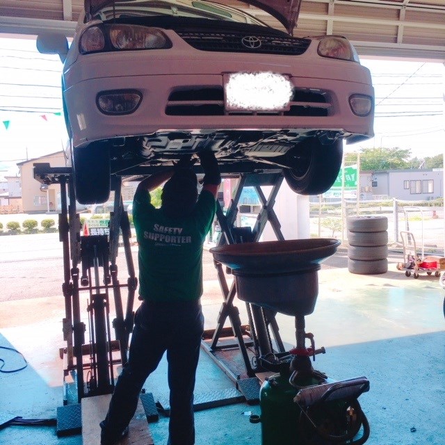 スタッフ撮影　文字はペイントです。