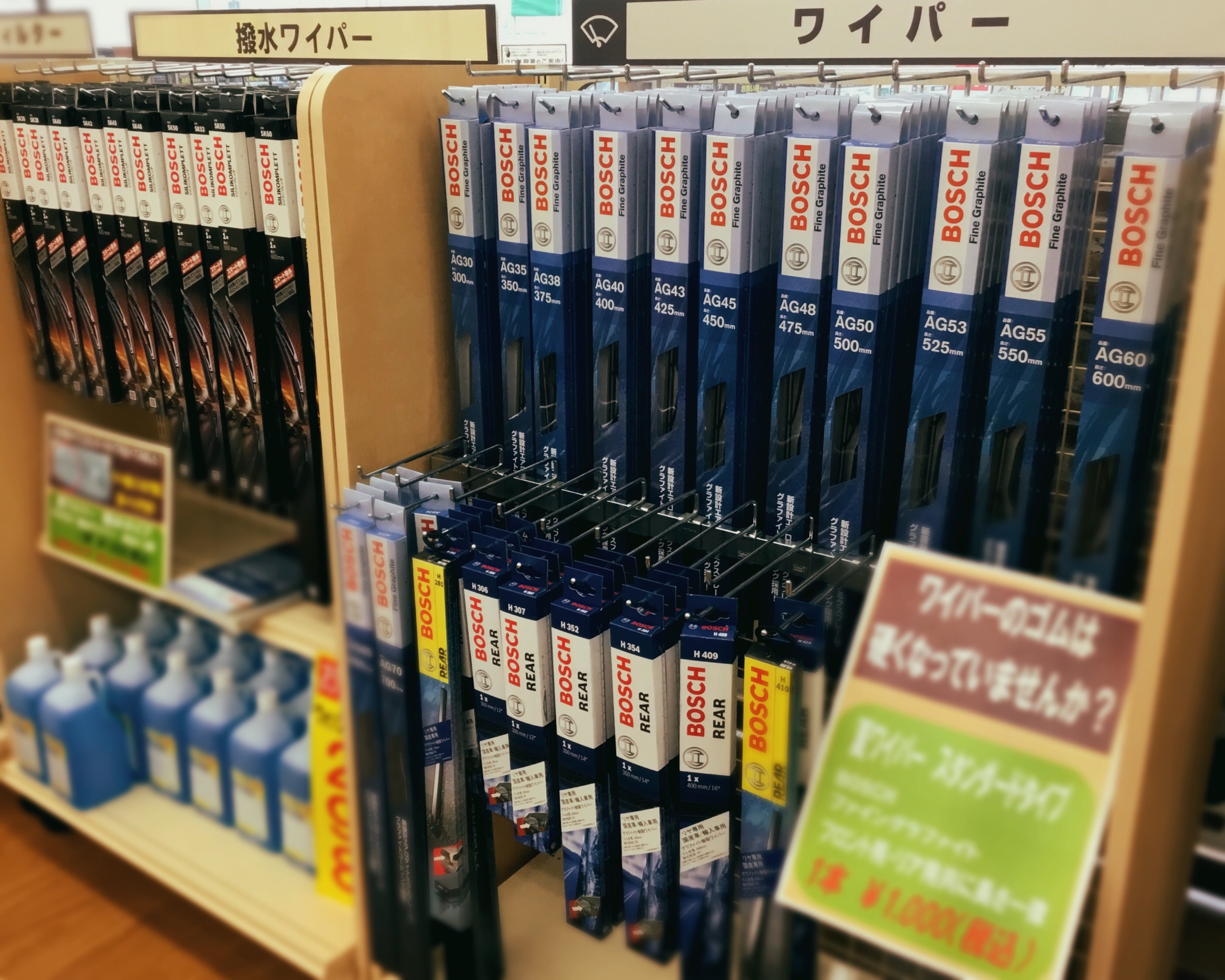 スタッフが撮影した画像です。