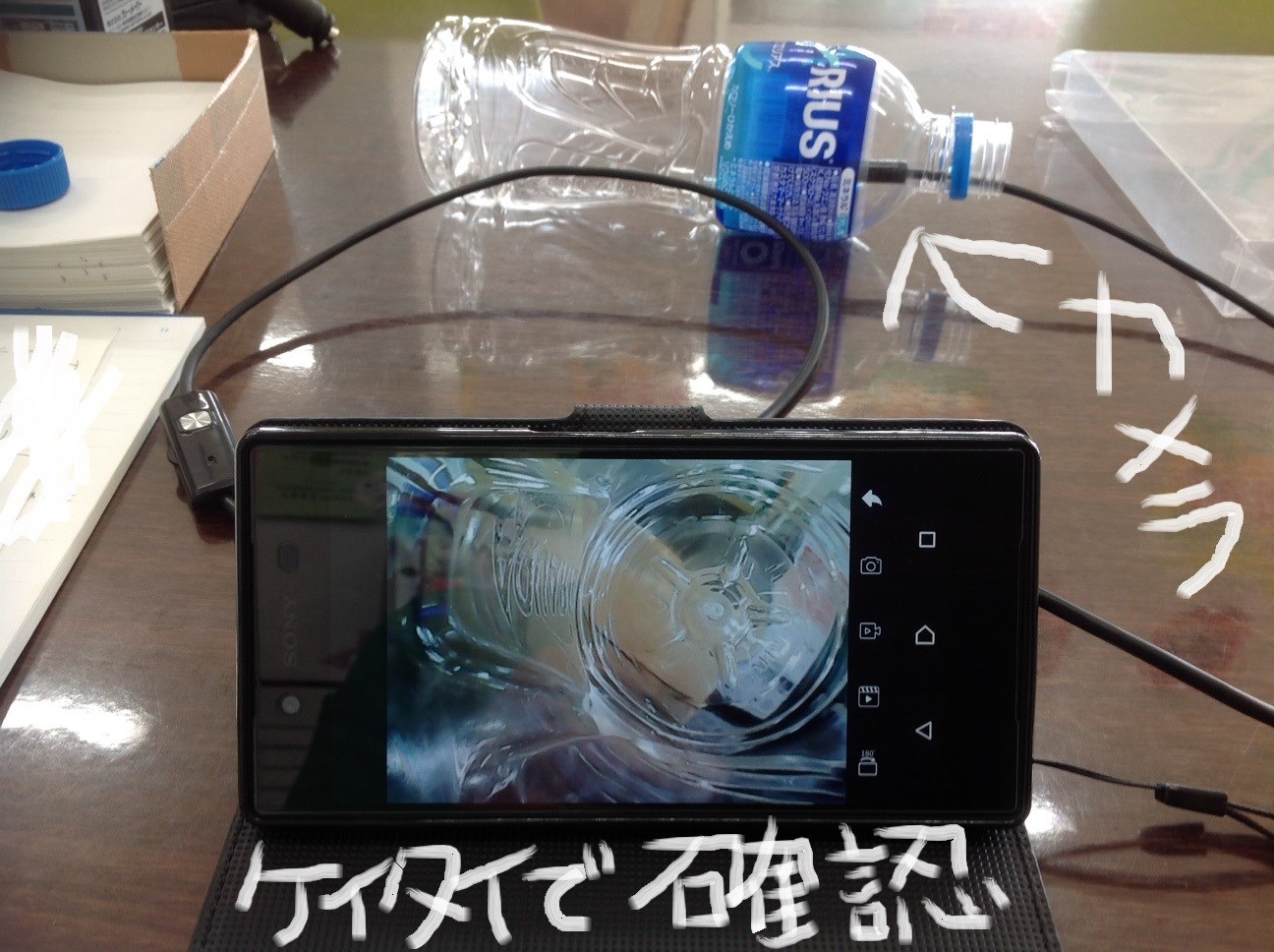 スタッフ撮影（文字はペイント）