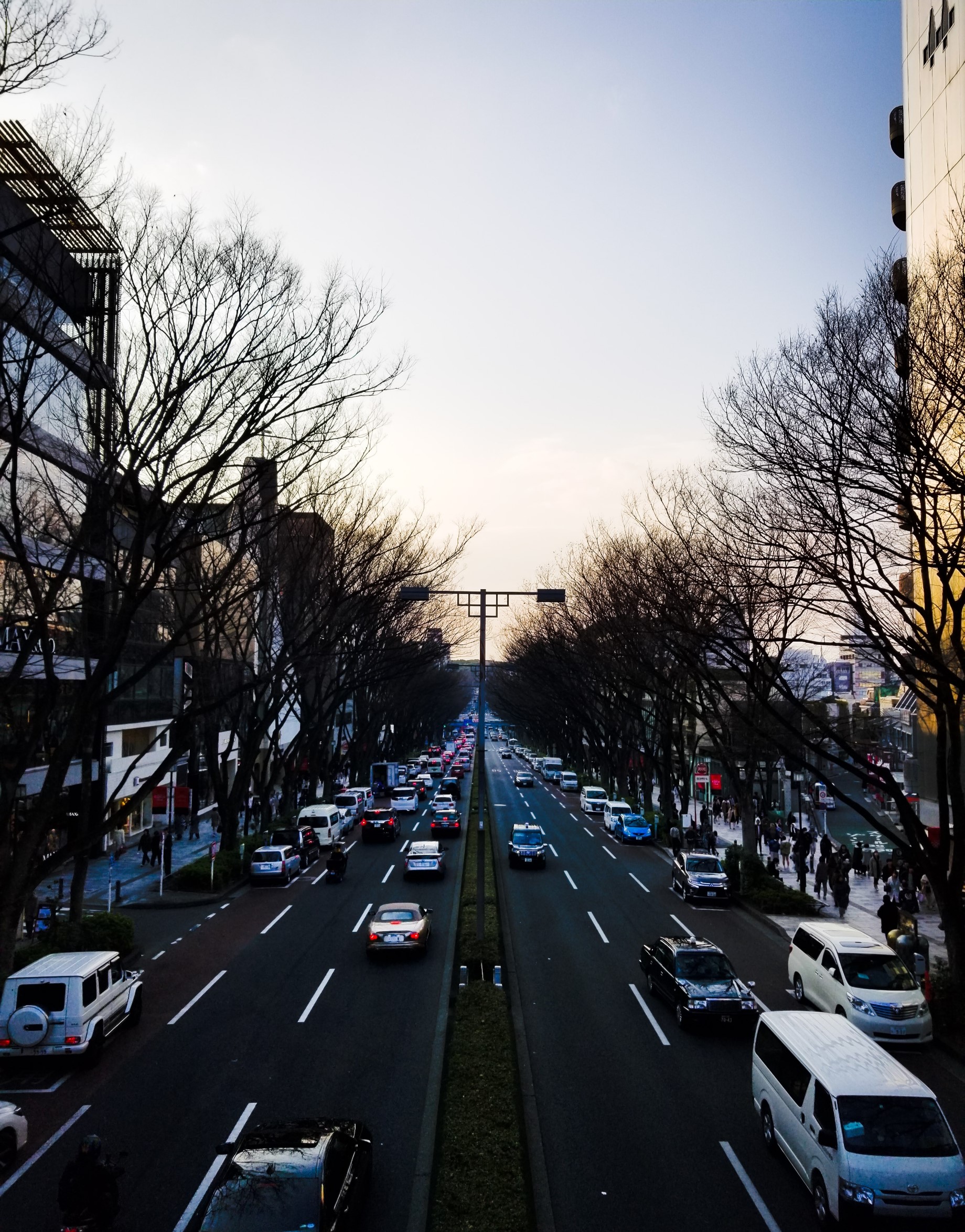 首都高