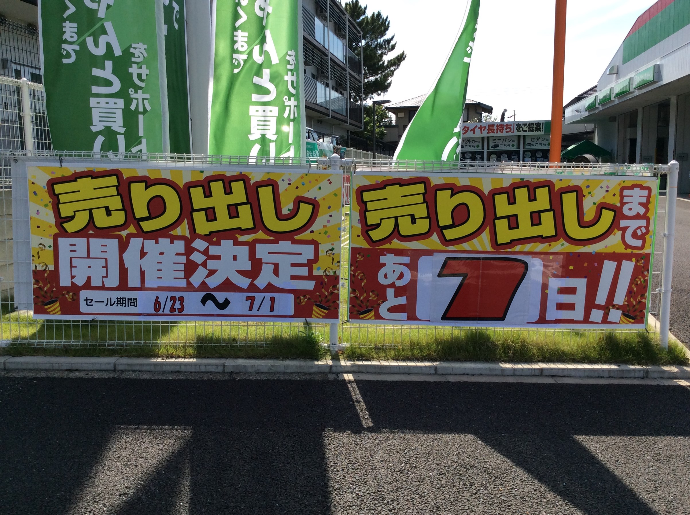 スタッフが撮影した画像です