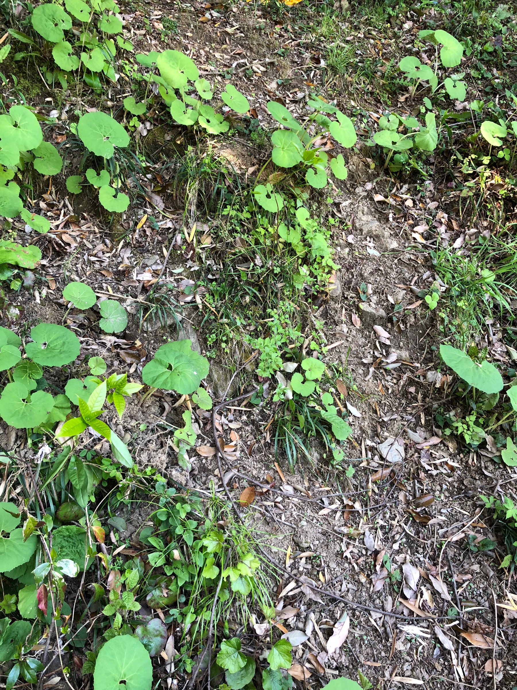 自分が撮影してます