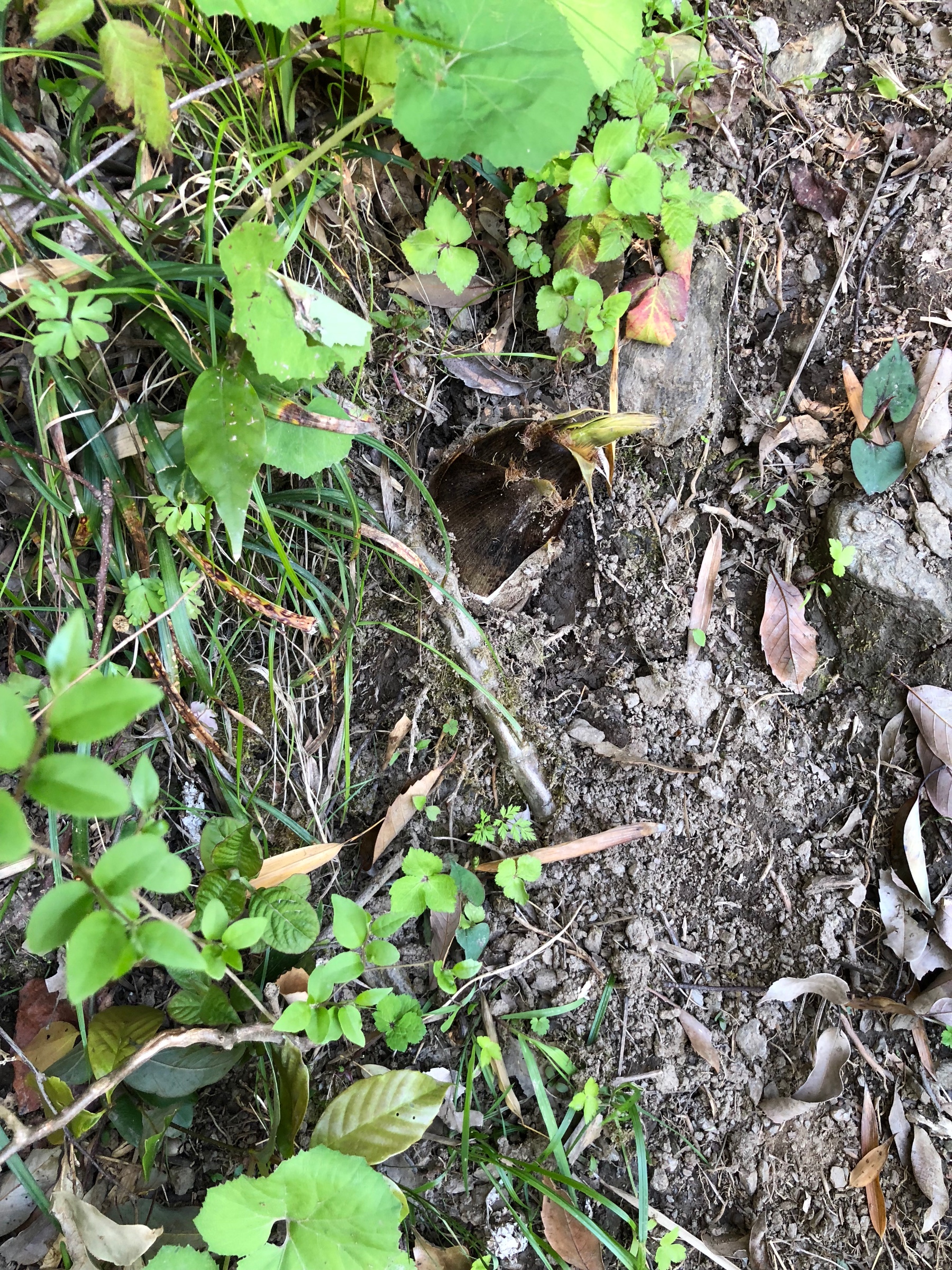 自分が撮影してます