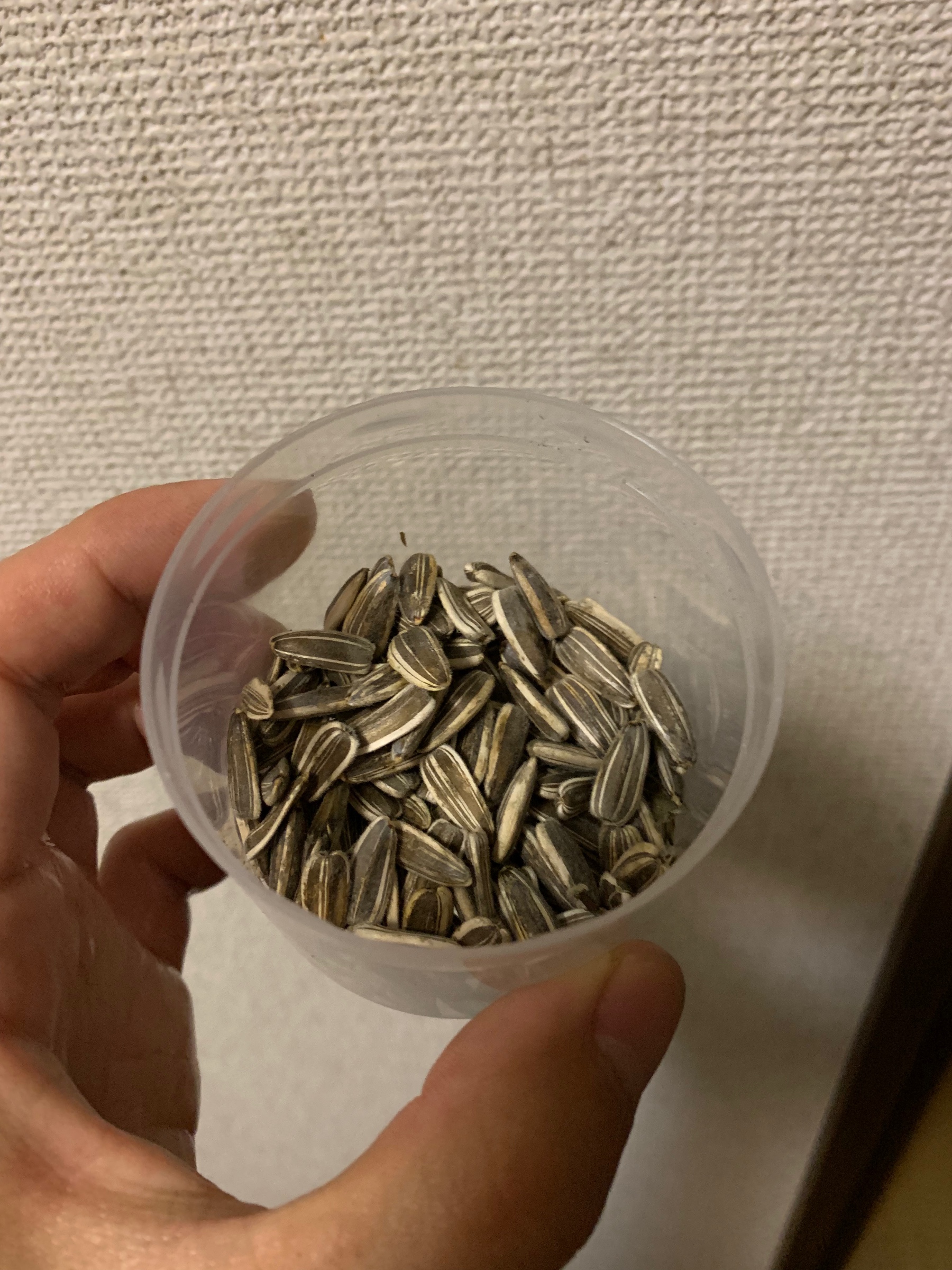 今年もひまわりの種を収穫 スタッフ日記 タイヤ館 勝田台 千葉県のタイヤ カー用品ショップ タイヤからはじまる トータルカーメンテナンス タイヤ館グループ