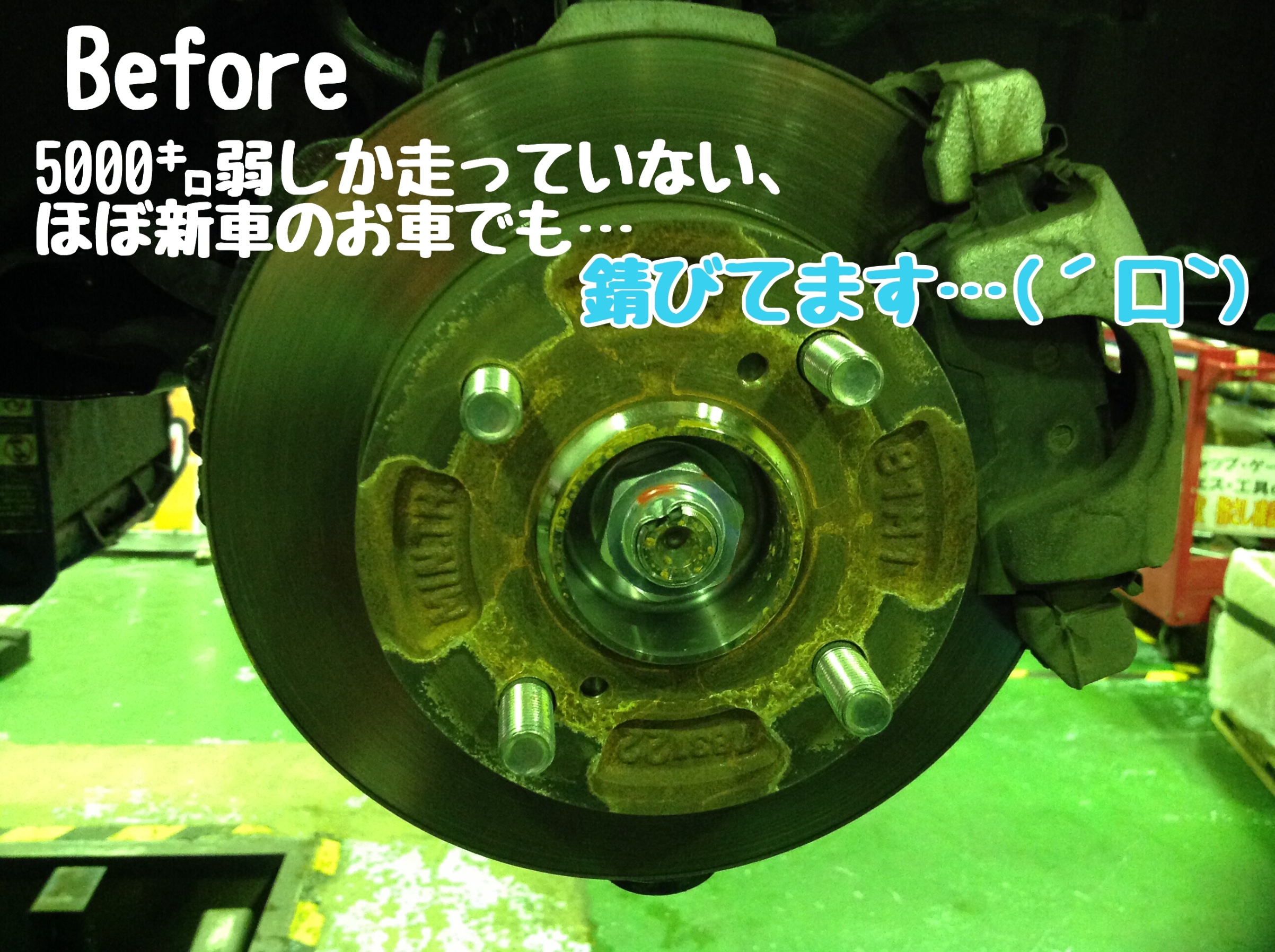スタッフが撮影と加工した画像です。