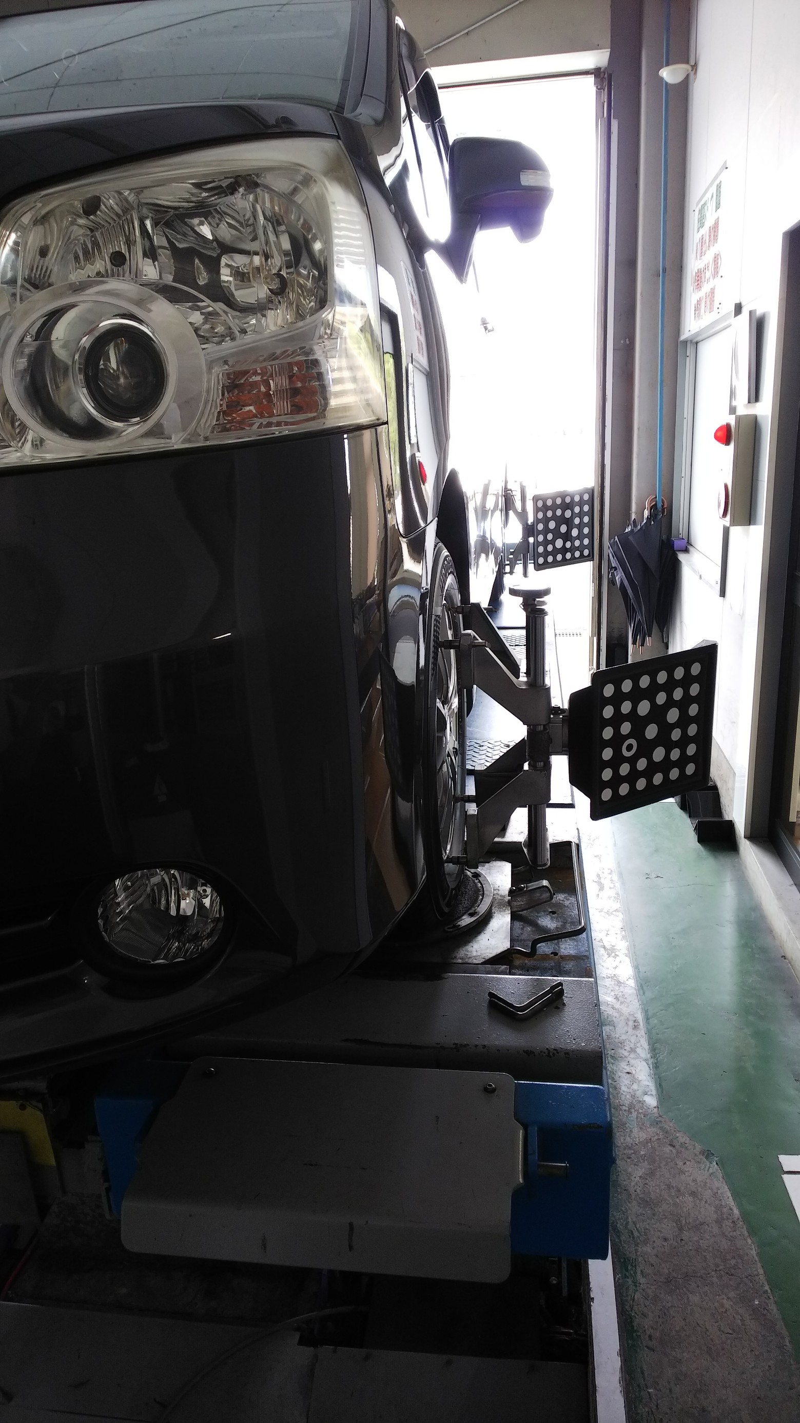 スタッフ撮影です。