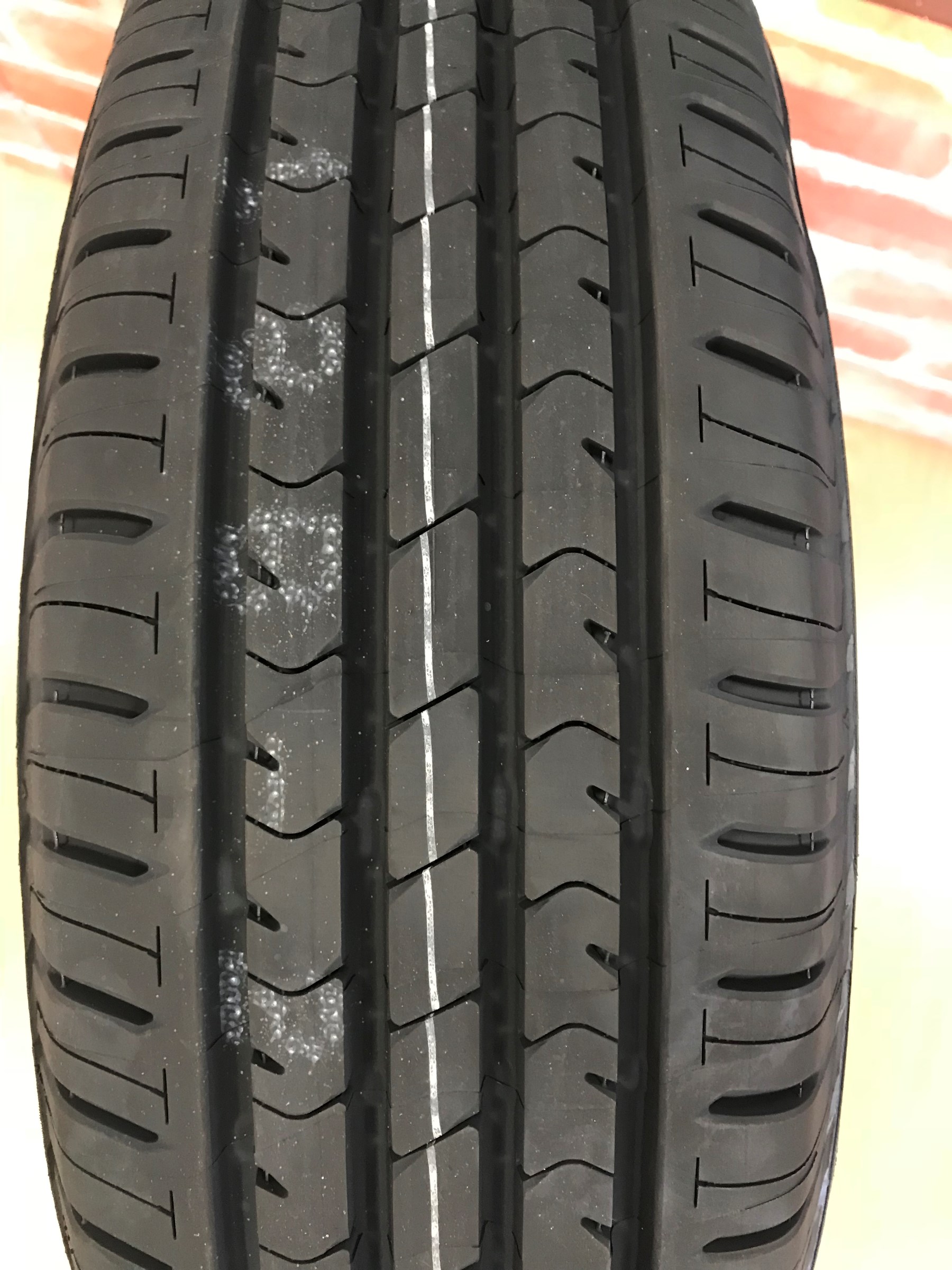 スタッフが撮影した画像です