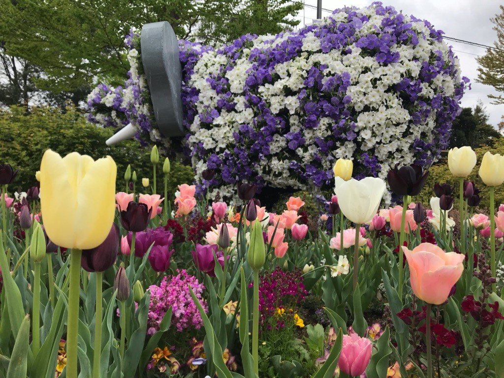 里山ガーデン スタッフ日記 タイヤ館 瀬谷 神奈川県のタイヤ カー用品ショップ タイヤからはじまる トータルカーメンテナンス タイヤ館グループ