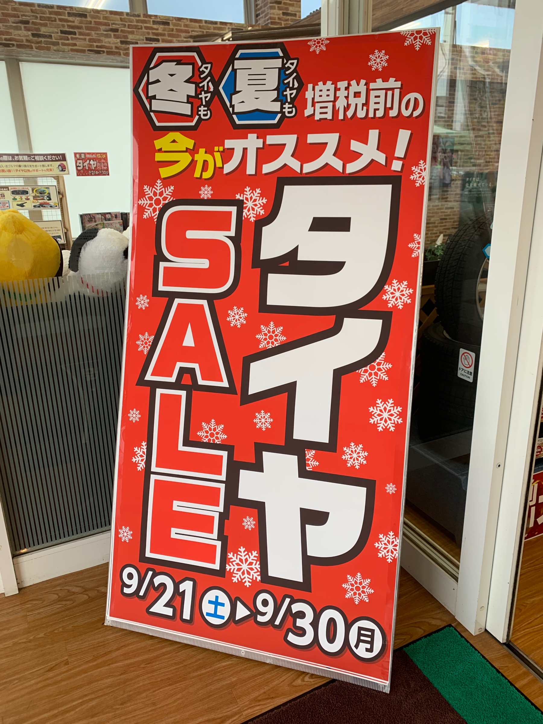 スタッフが撮影した画像です