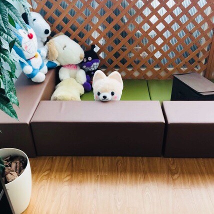 スタッフが撮影した画像です。