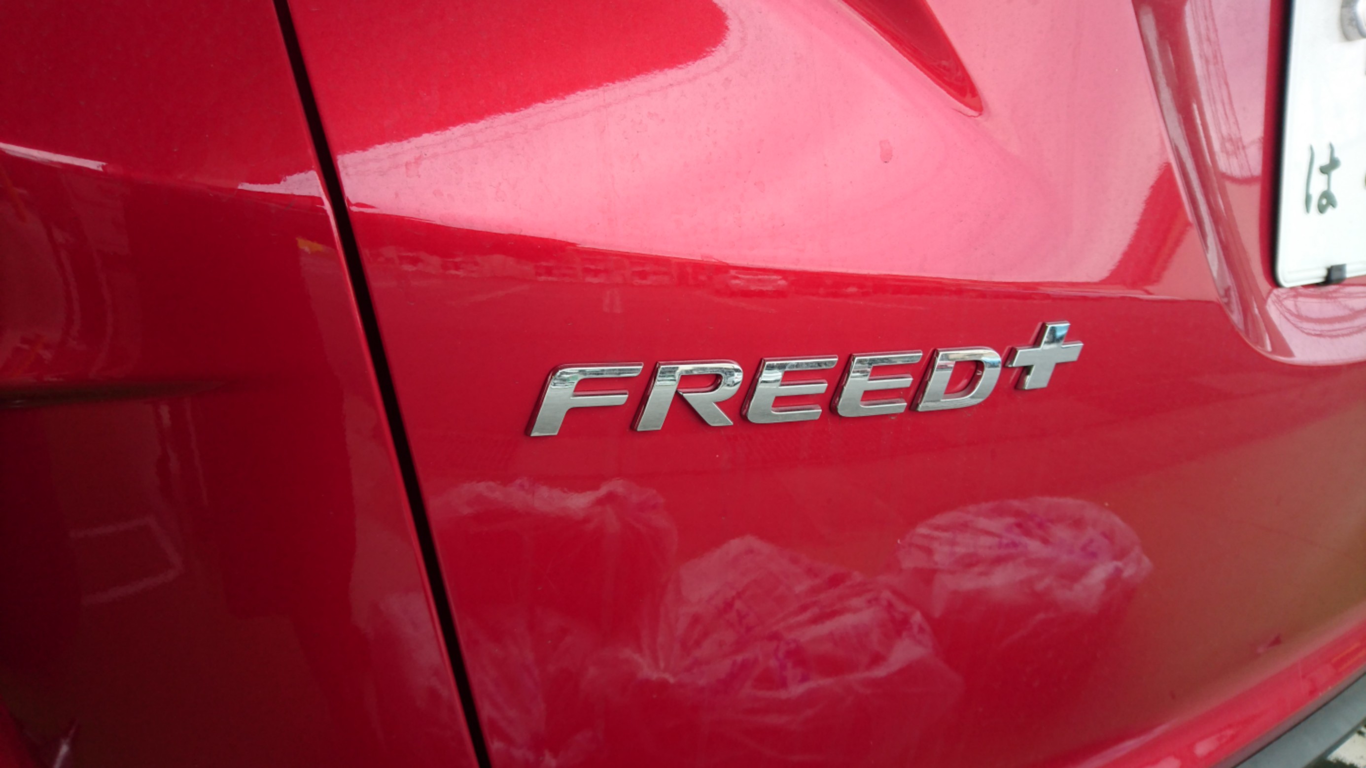 世界で934体 フリードヘルムのホースオンホイール 新 H 世界で934体