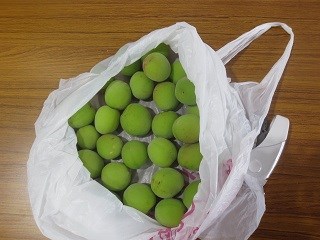 UME