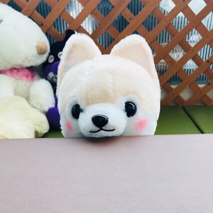 スタッフが撮影した画像です。