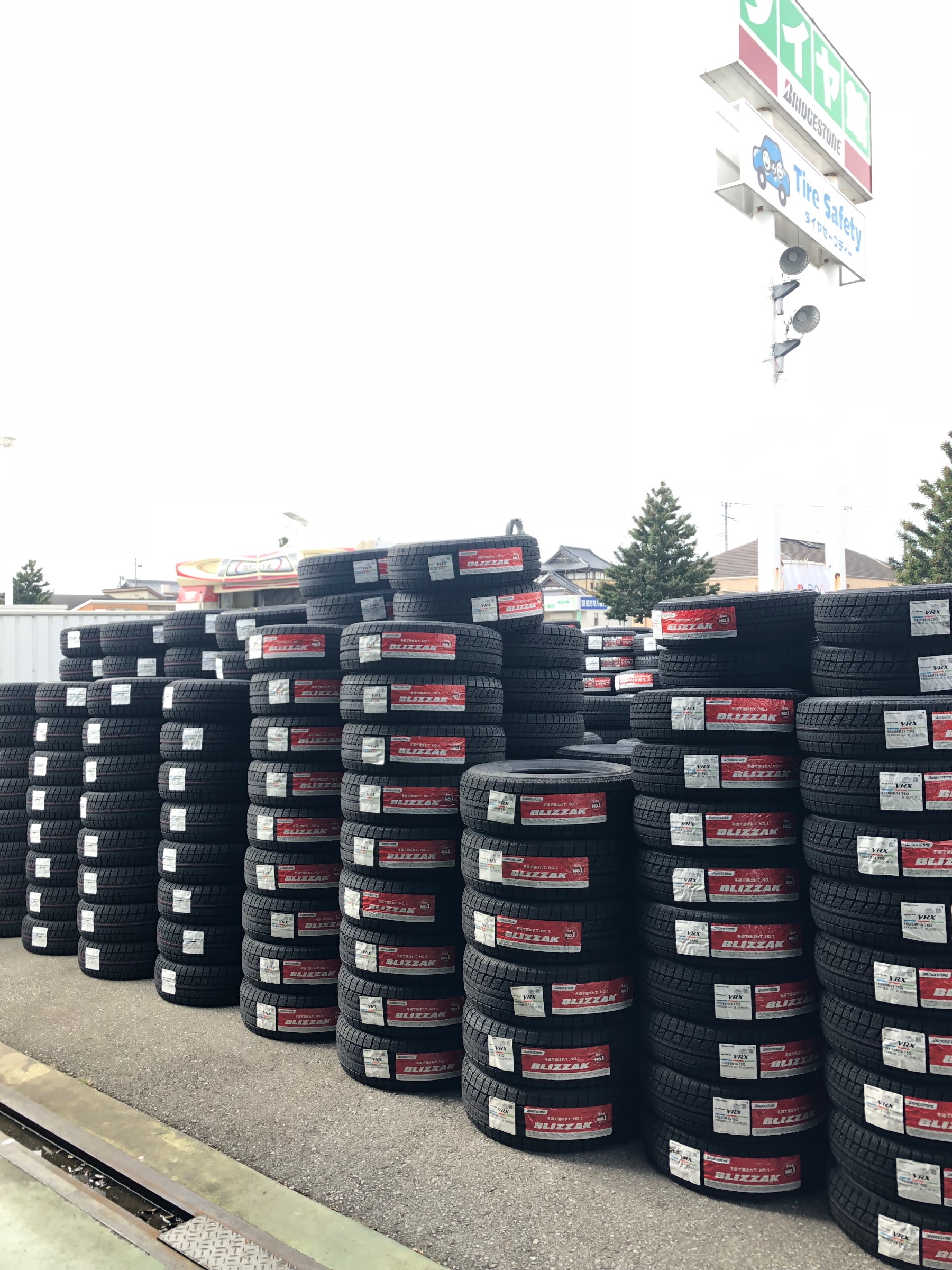 スタッフ撮影です