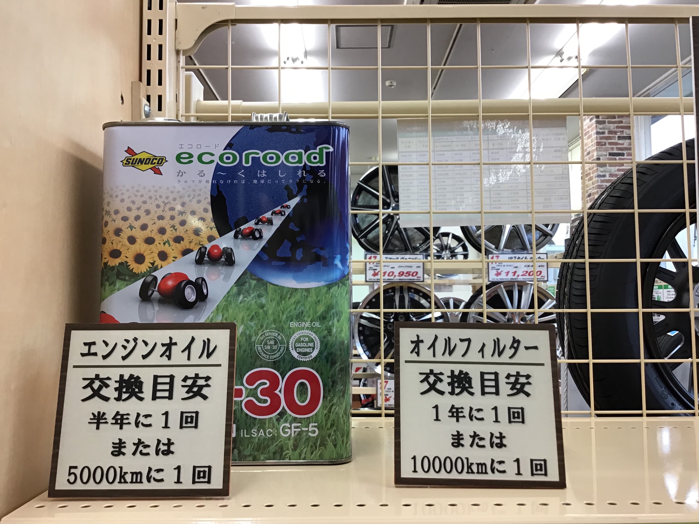 なんと半年に1回なんです！