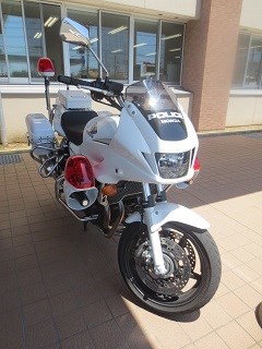 後ろ居るとドキッとします。