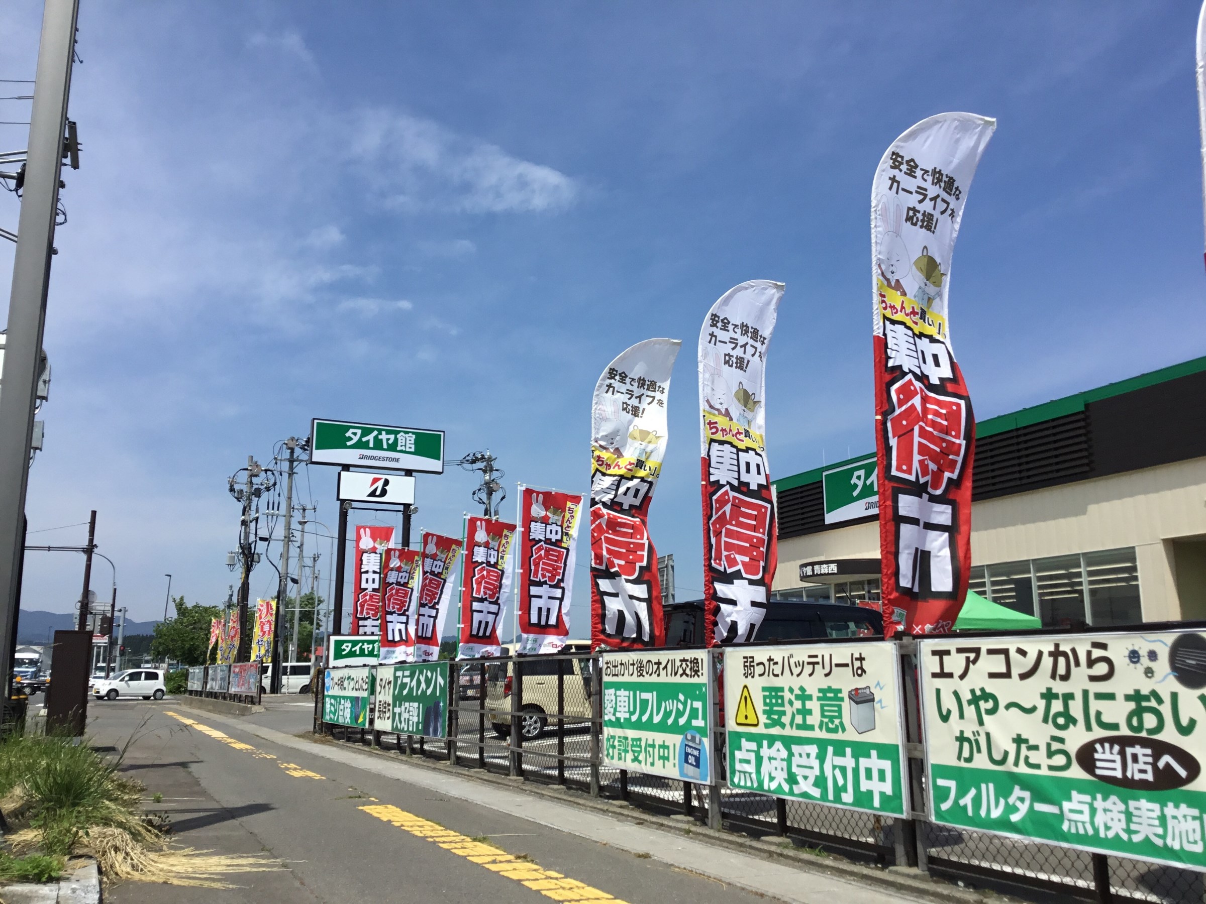 スタッフが撮影した画像です