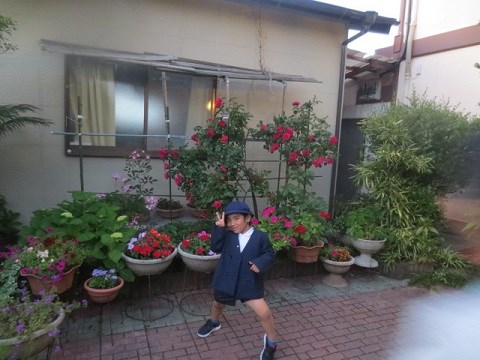 わがまま放題の5歳児と綺麗なバラ