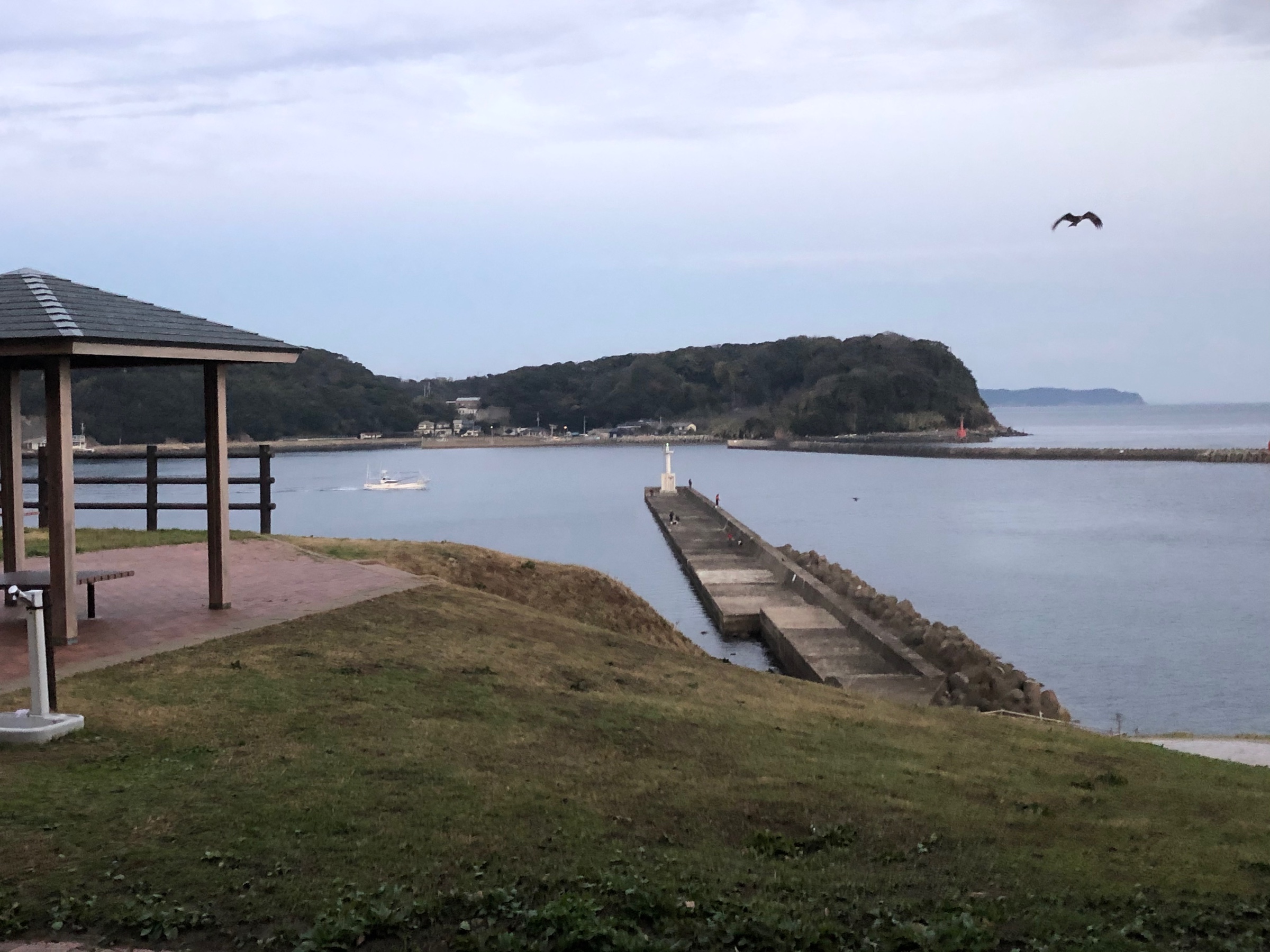 呼子 鷹島釣行 スタッフ日記 タイヤ館 佐賀大和インター タイヤからはじまる トータルカーメンテナンス タイヤ館グループ