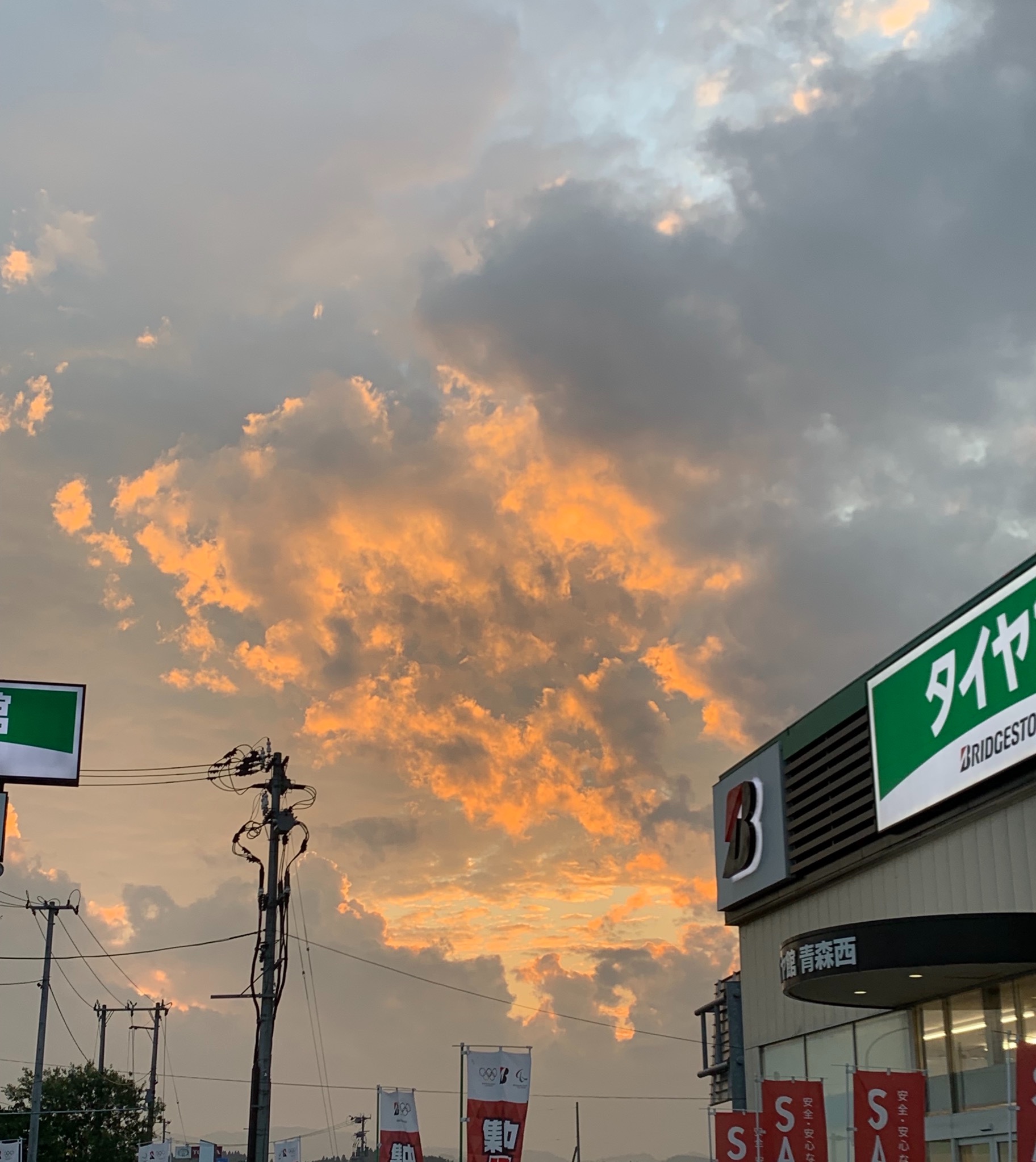 スタッフが撮影した画像