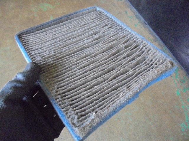 閲覧注意です。