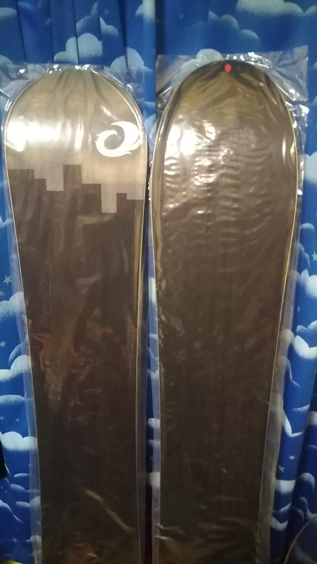 オガサカＣＴ＆gentemフローター