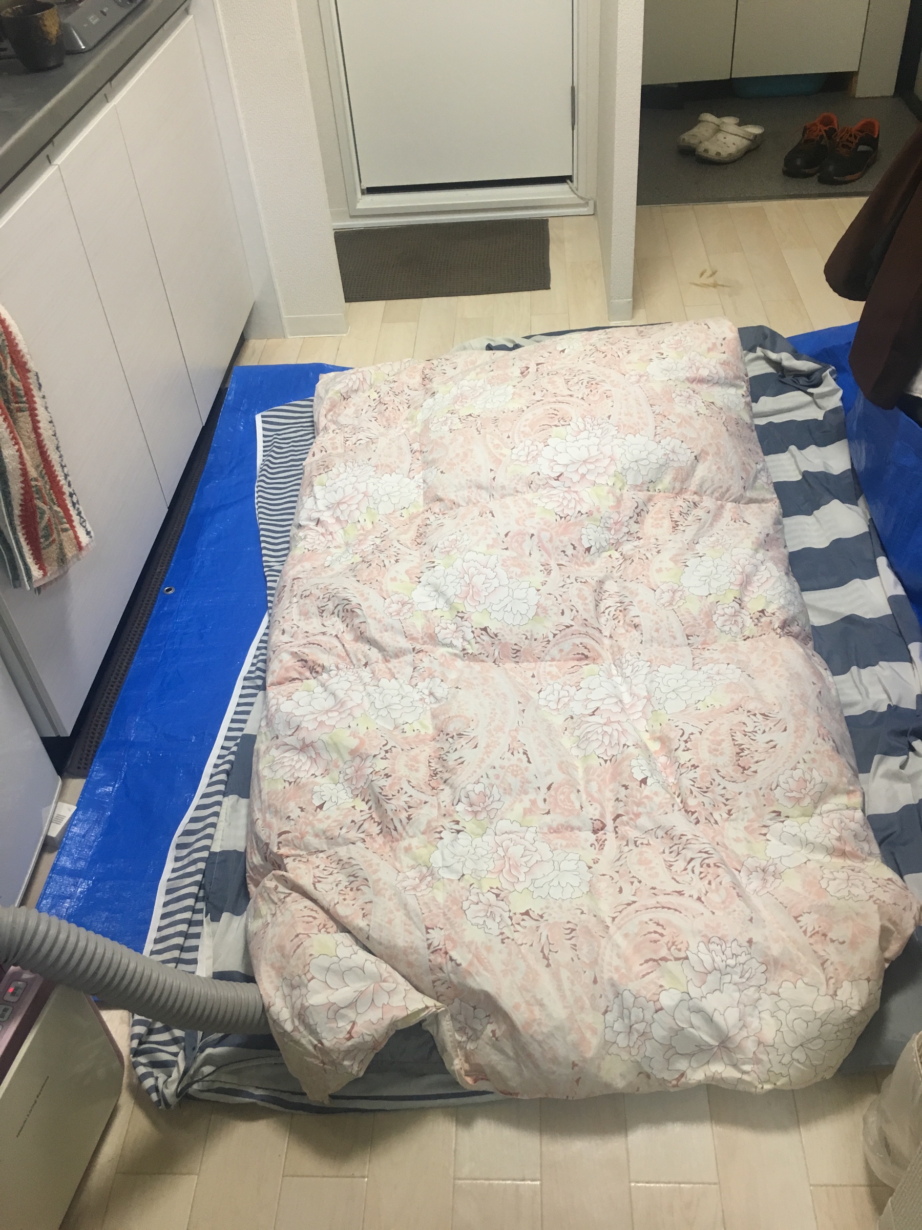 乾燥中