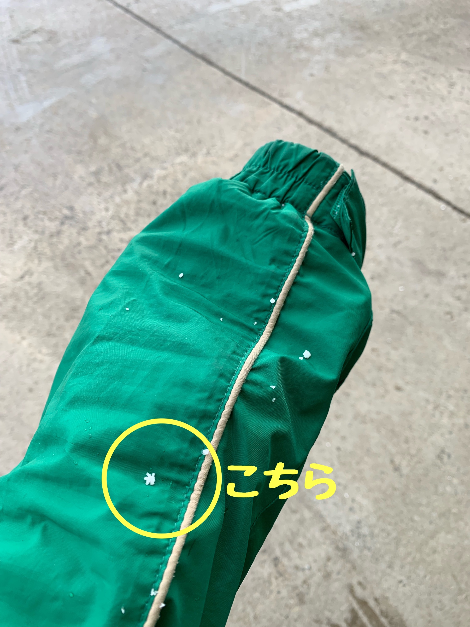 スタッフが撮影、加工した画像です