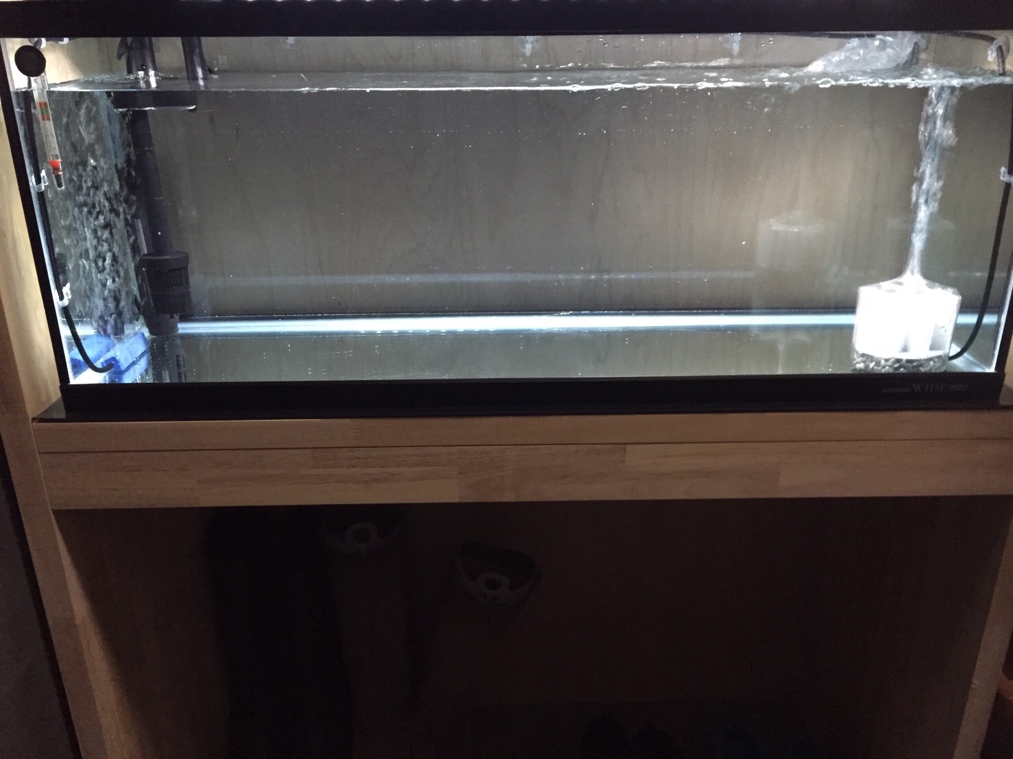 久我スタッフの水槽 サイズアップ スタッフ日記 タイヤ館 佐賀 タイヤからはじまる トータルカーメンテナンス タイヤ館グループ