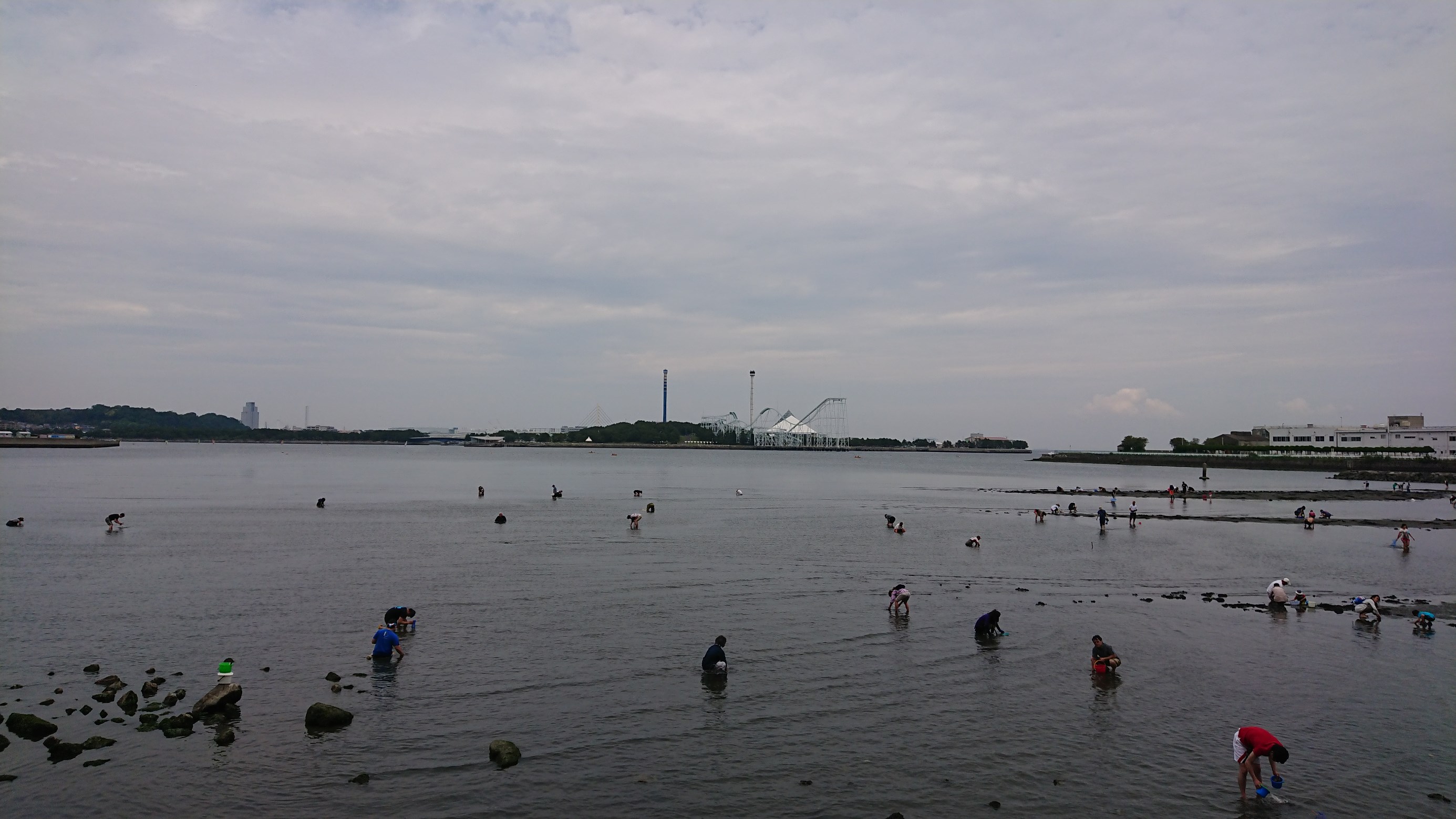 潮干狩り行って来ました 湘南台スタッフ日記 タイヤ館 湘南台 タイヤからはじまる トータルカーメンテナンス タイヤ館グループ