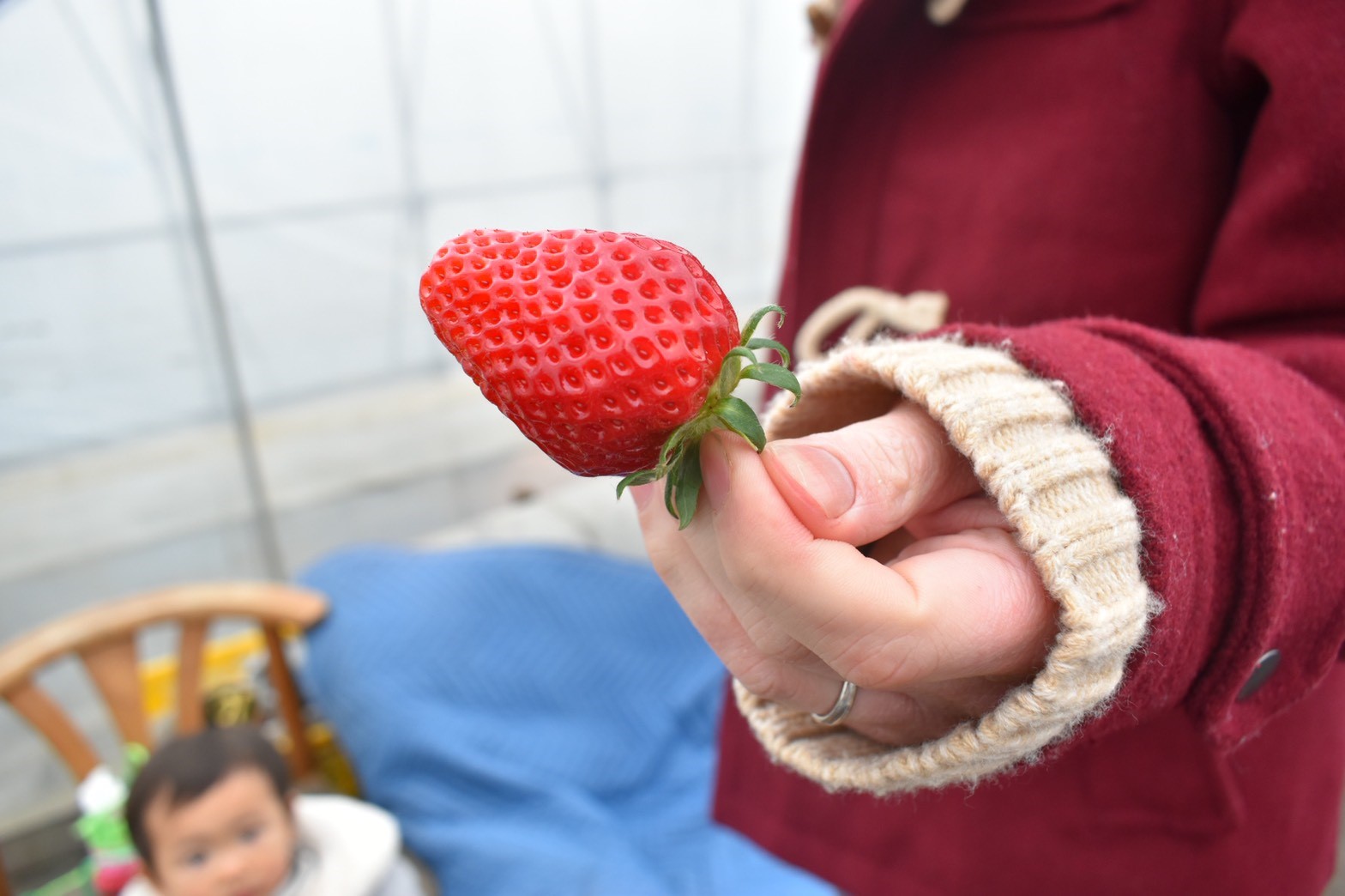 いちご狩り ひたち多賀店日記 タイヤ館 ひたち多賀 茨城県のタイヤ カー用品ショップ タイヤからはじまる トータルカーメンテナンス タイヤ館グループ