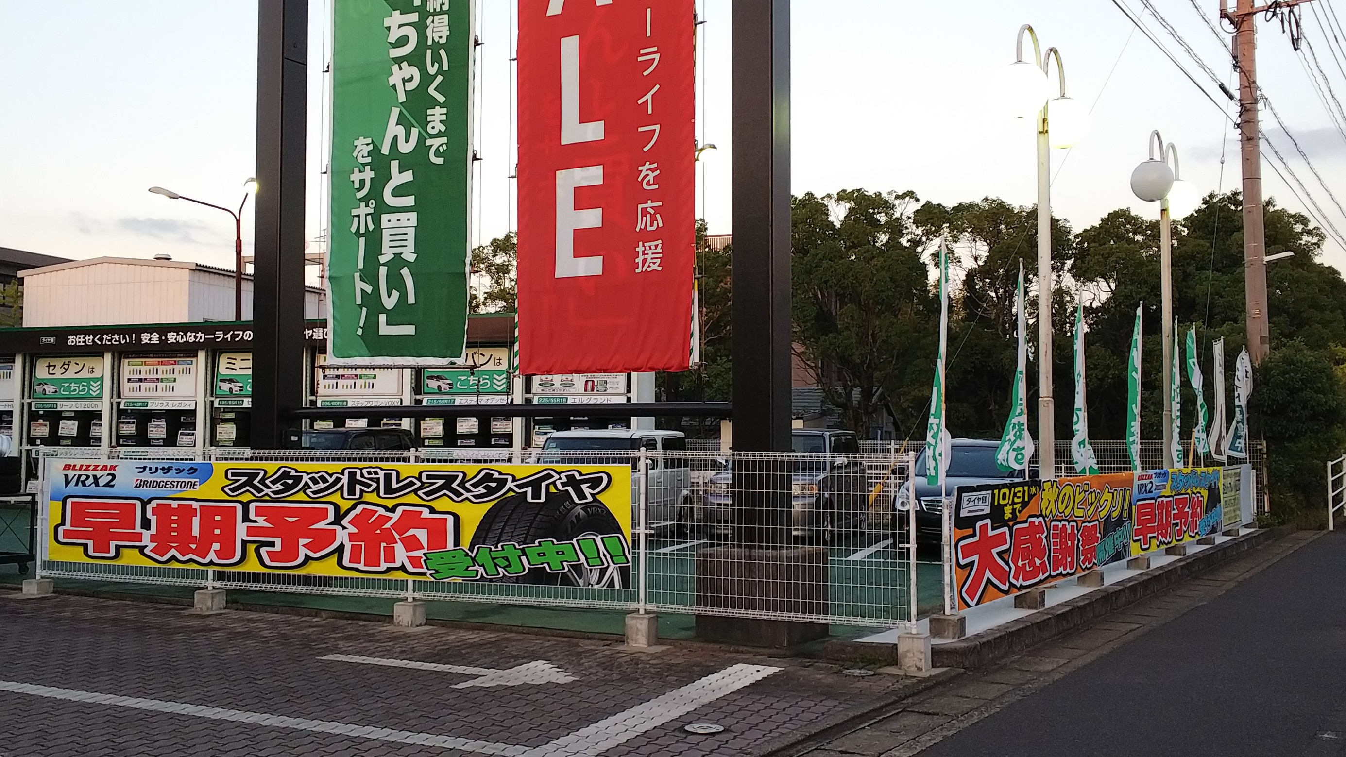 スタッフ撮影です。