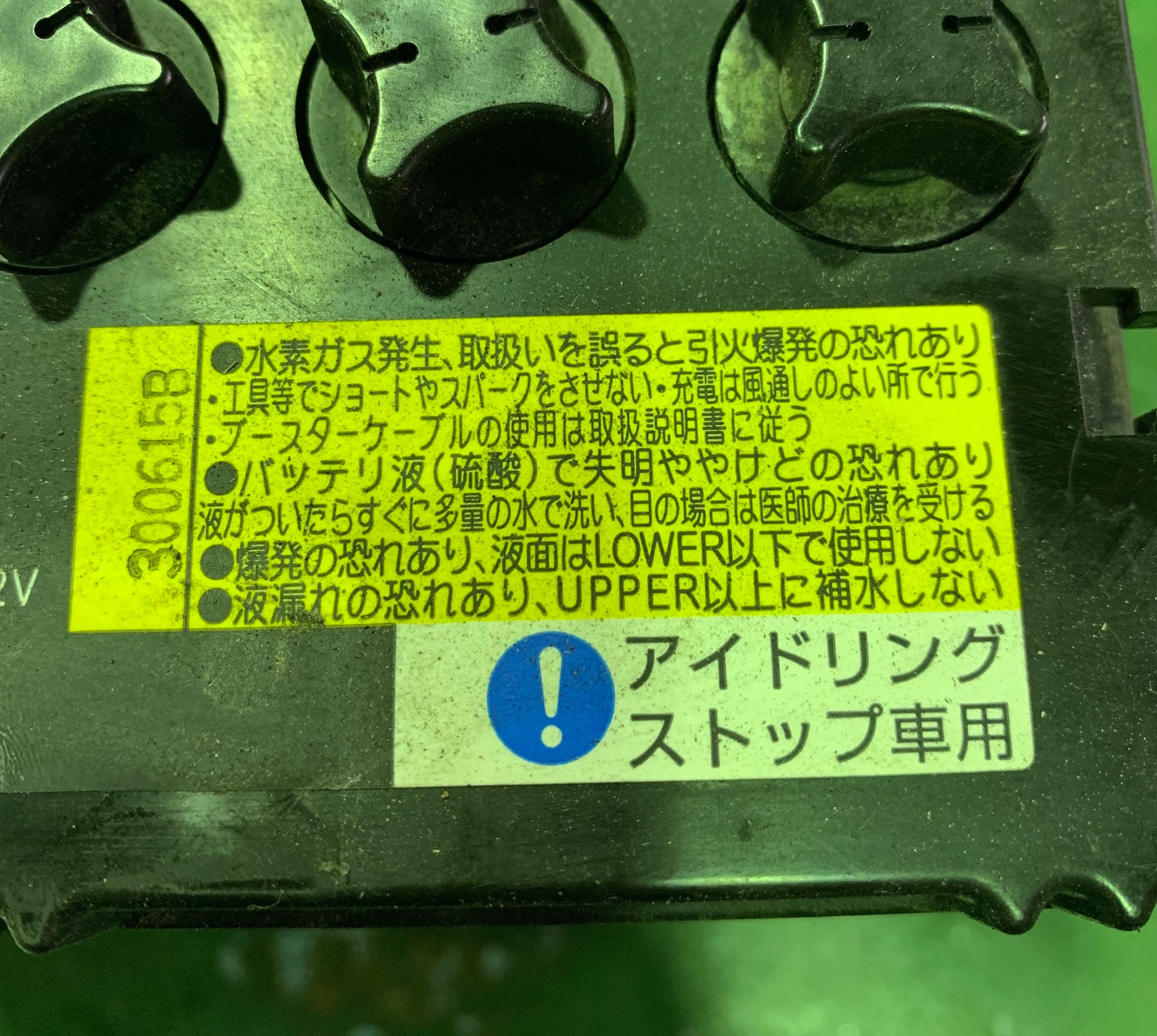 スタッフが撮影した画像です