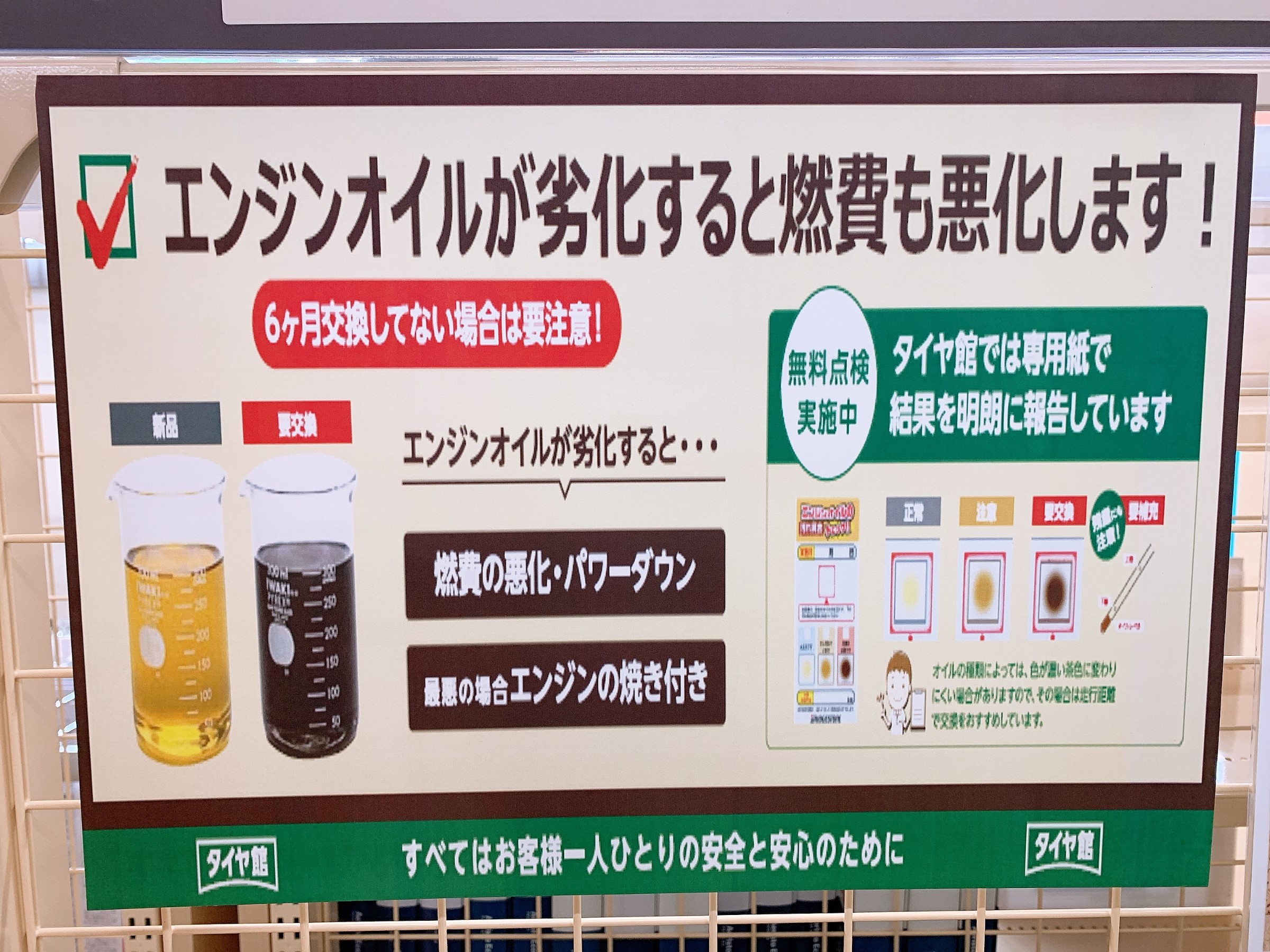 スタッフが撮影した画像です。