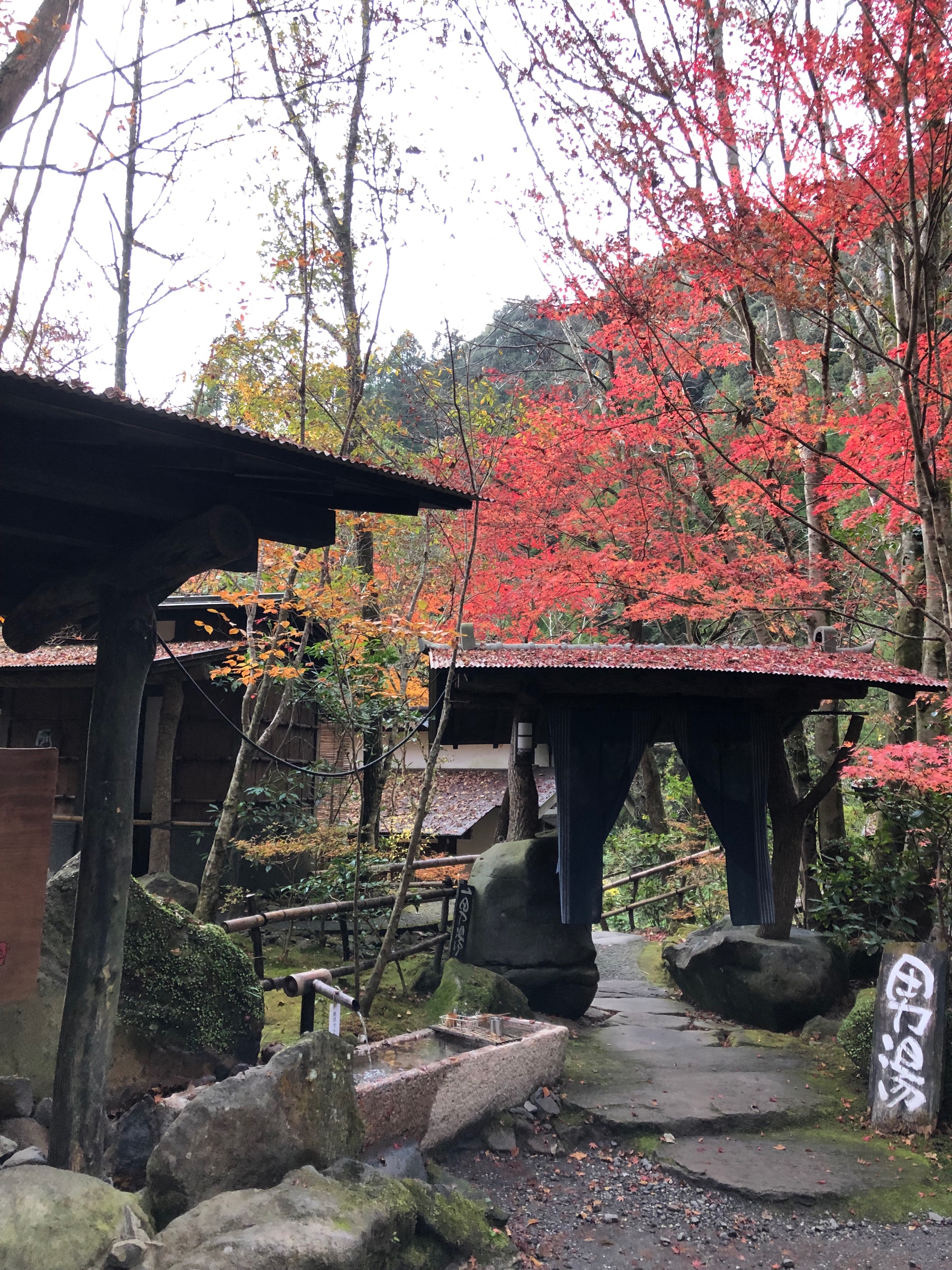 温泉